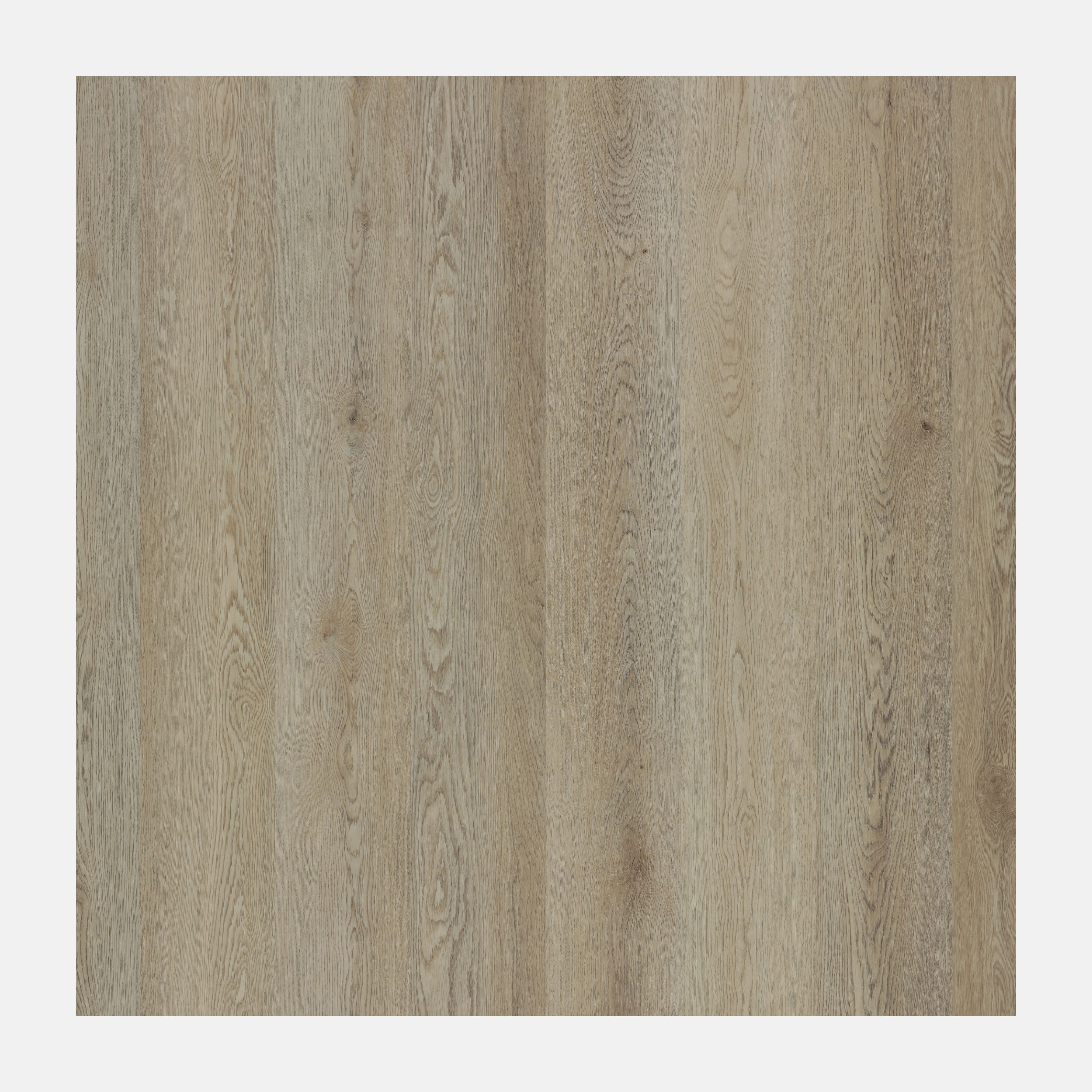 Illumination Hybrid Floor Bellevue Avenue