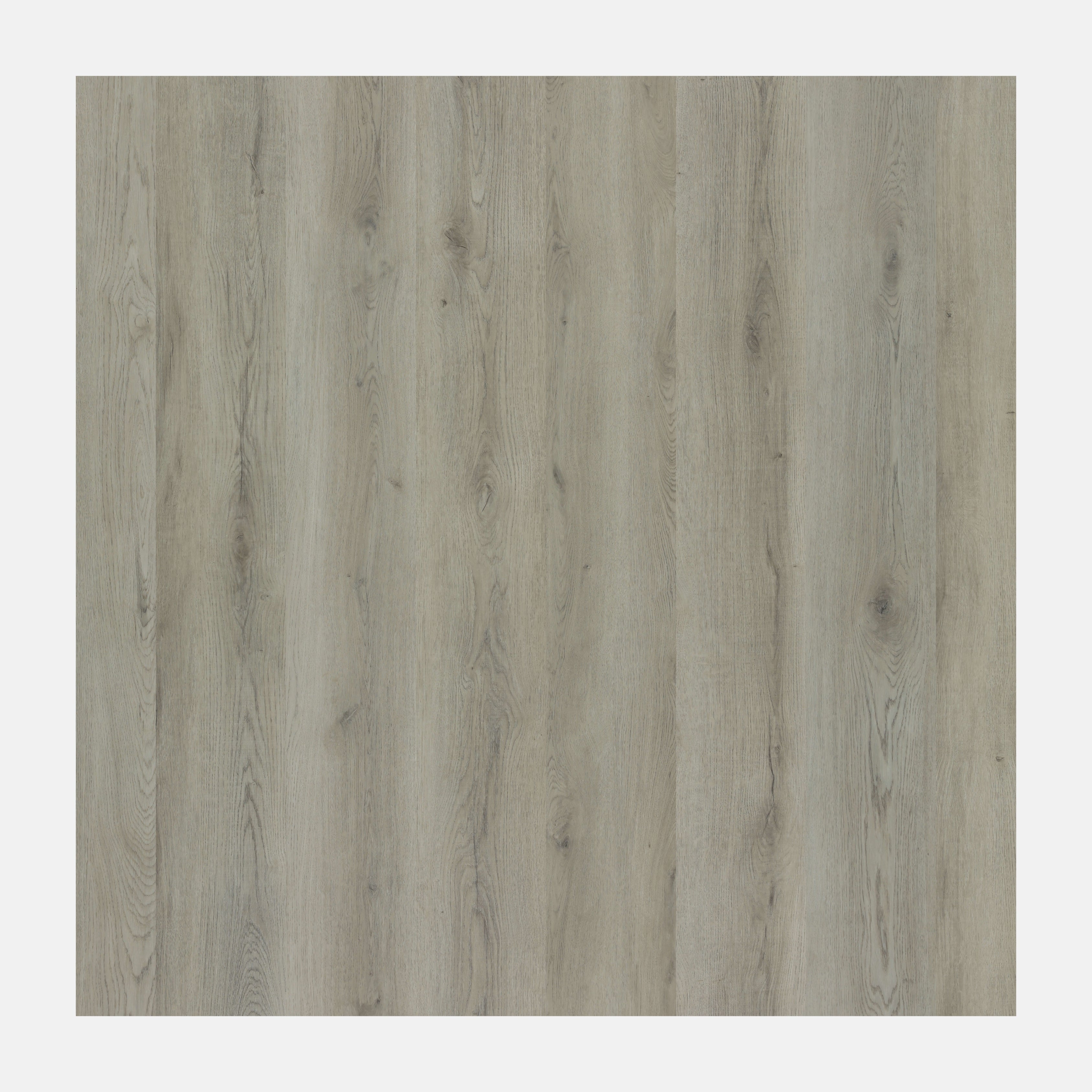Illumination Hybrid Floor Winchester Oak