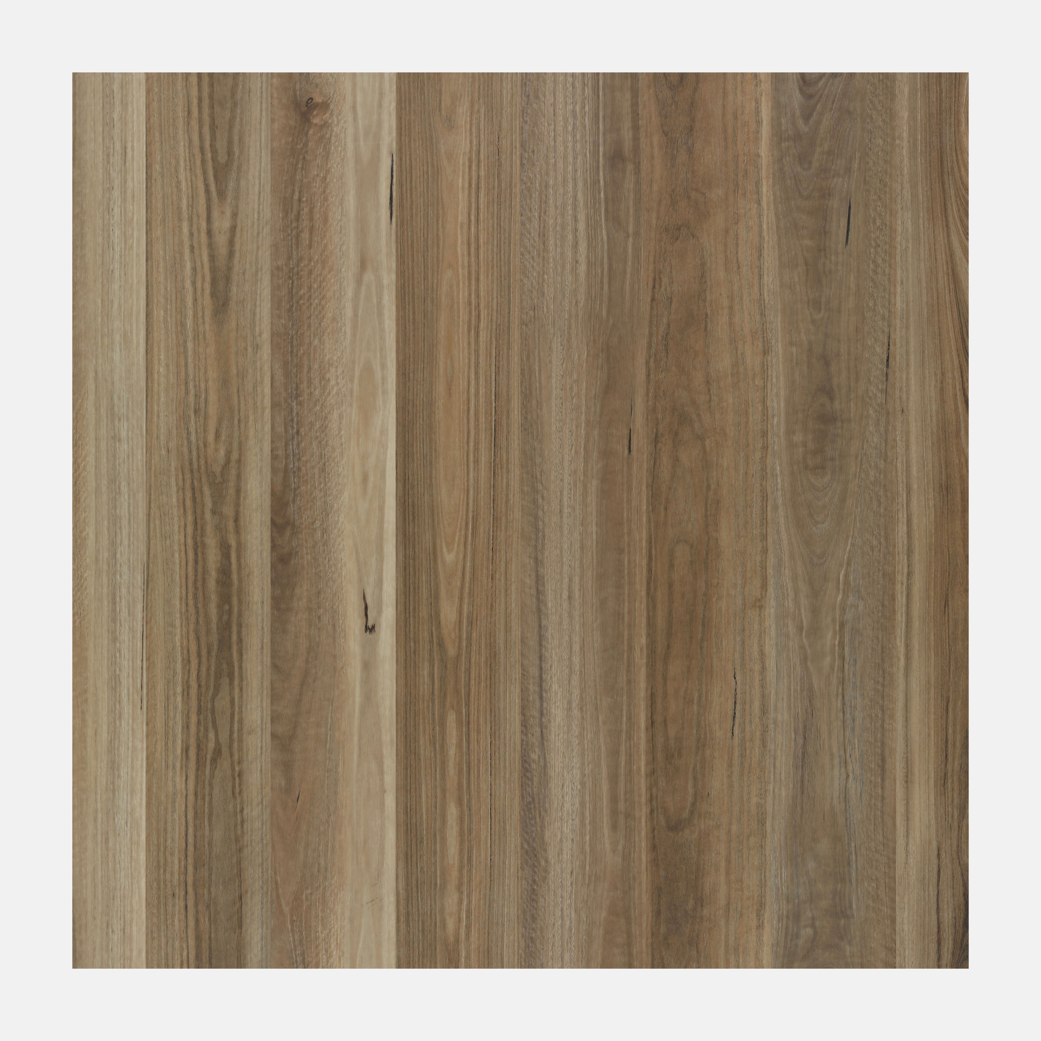Illumination Hybrid Floor Spotted Gum
