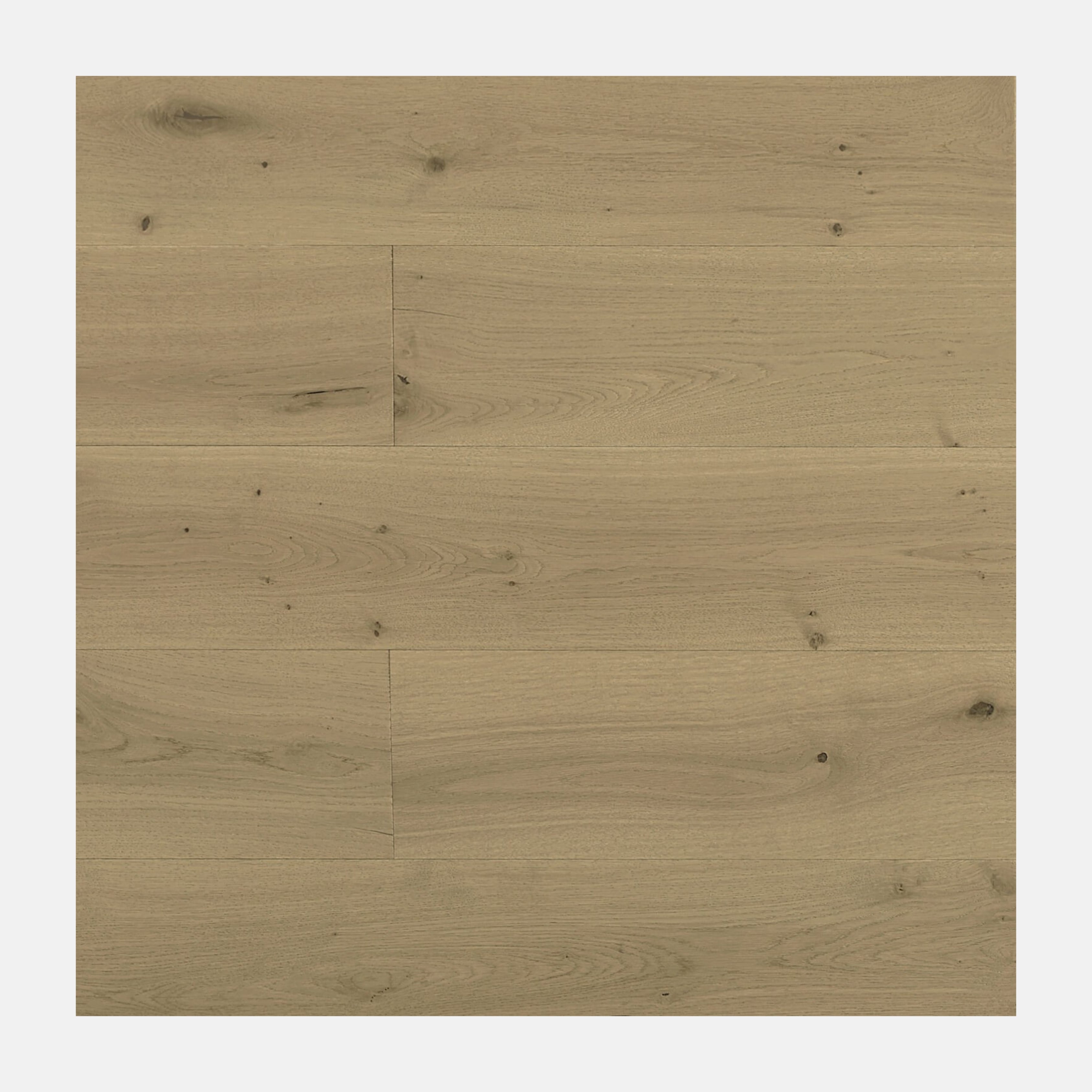 Monarch European Oak Engineered Flooring Champagne