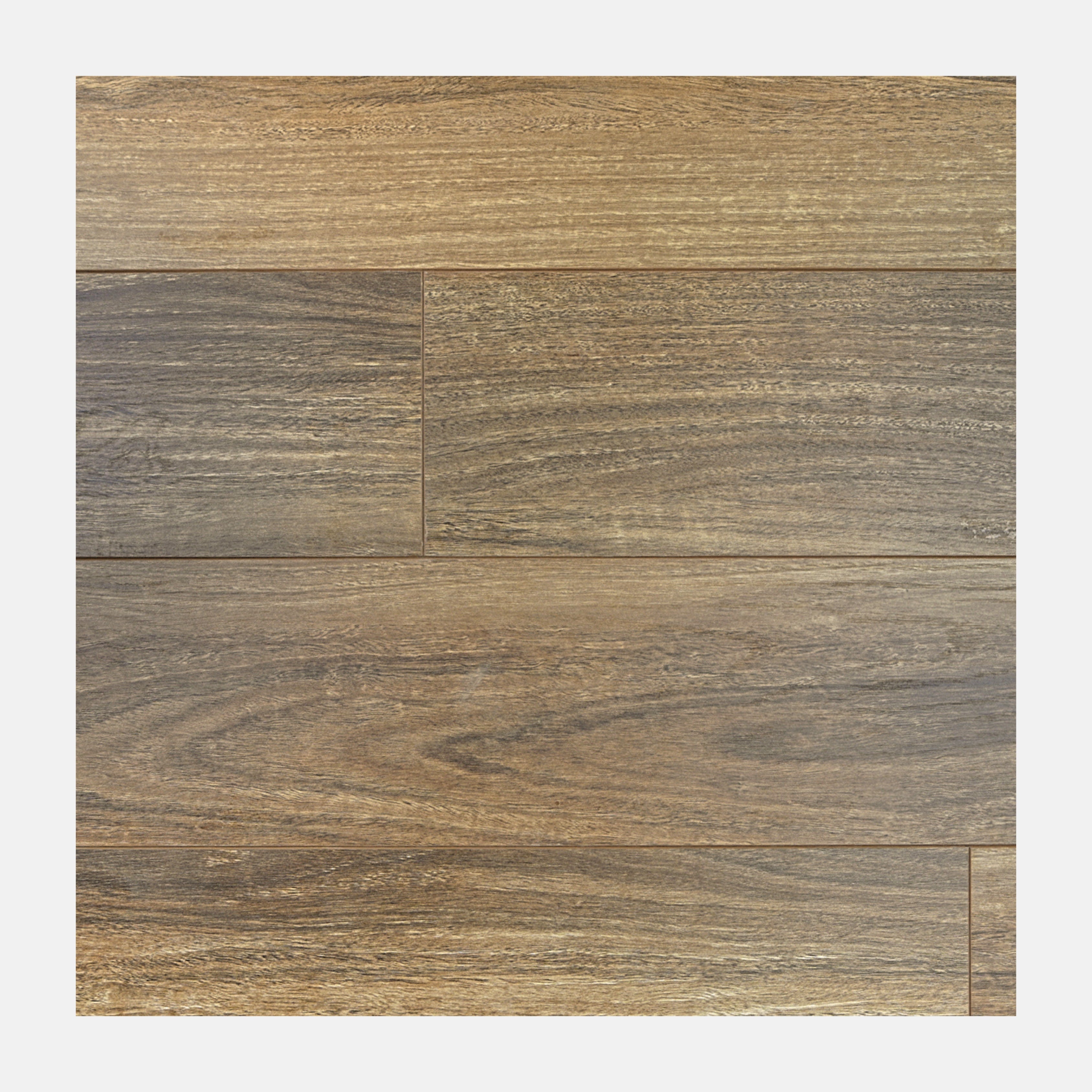 Modern Edition Laminate Flooring QLD Spotted Gum