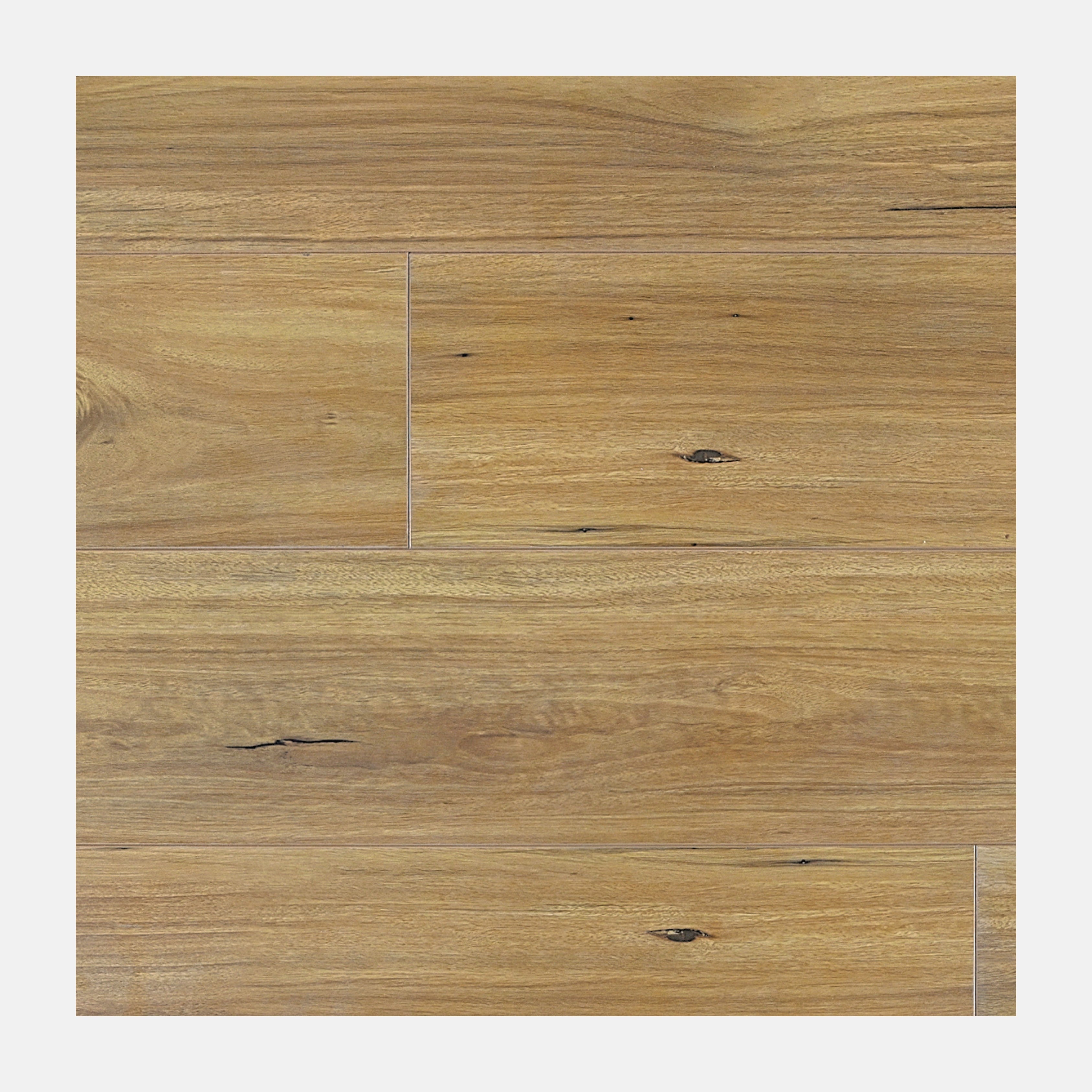 Modern Edition Laminate Flooring New England Blackbutt