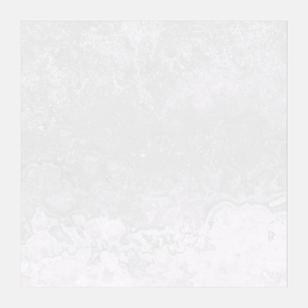 Alberca Matte White Travertine Look Tile 300X300