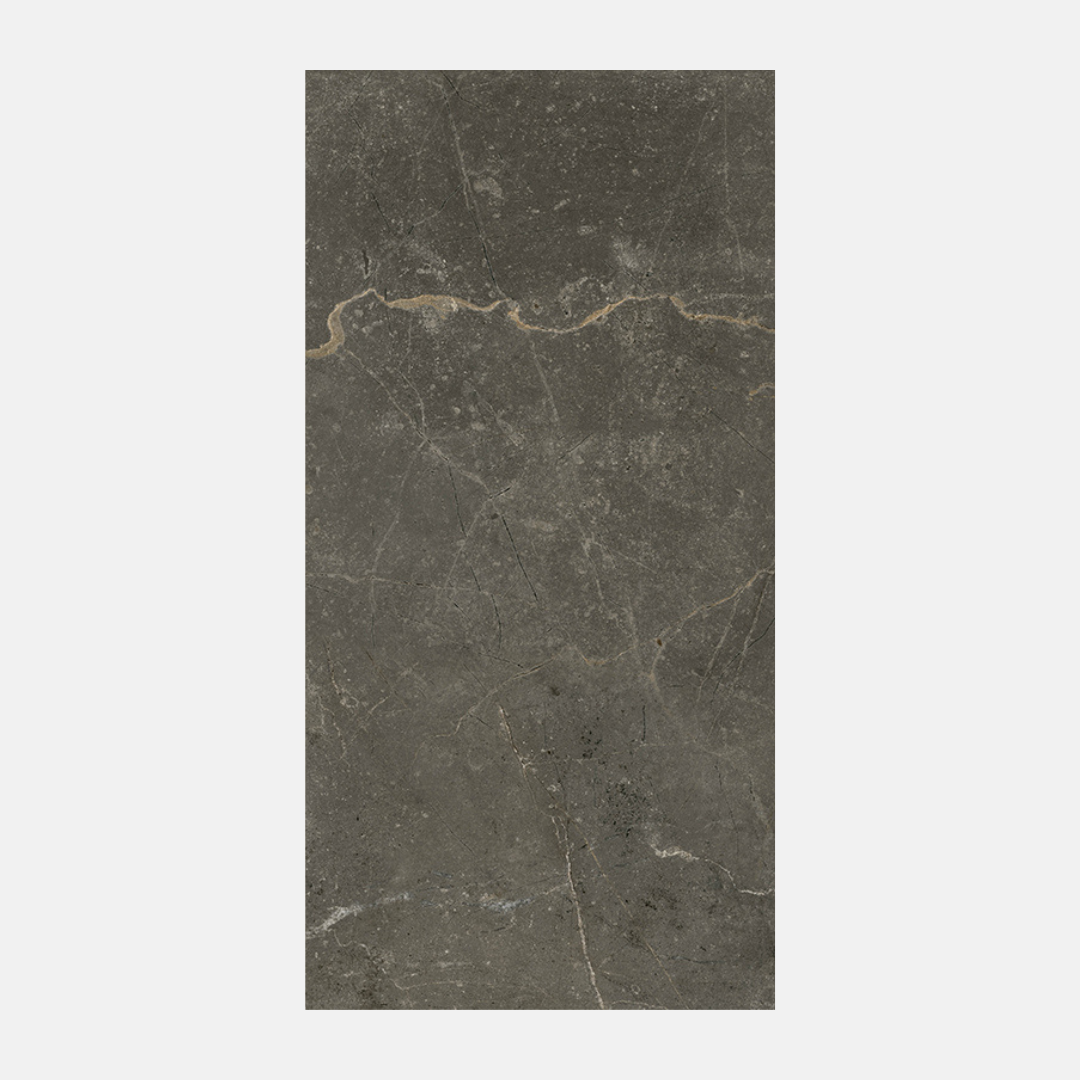 Arosa Matte Charcoal Stone-Look Tile 300X600