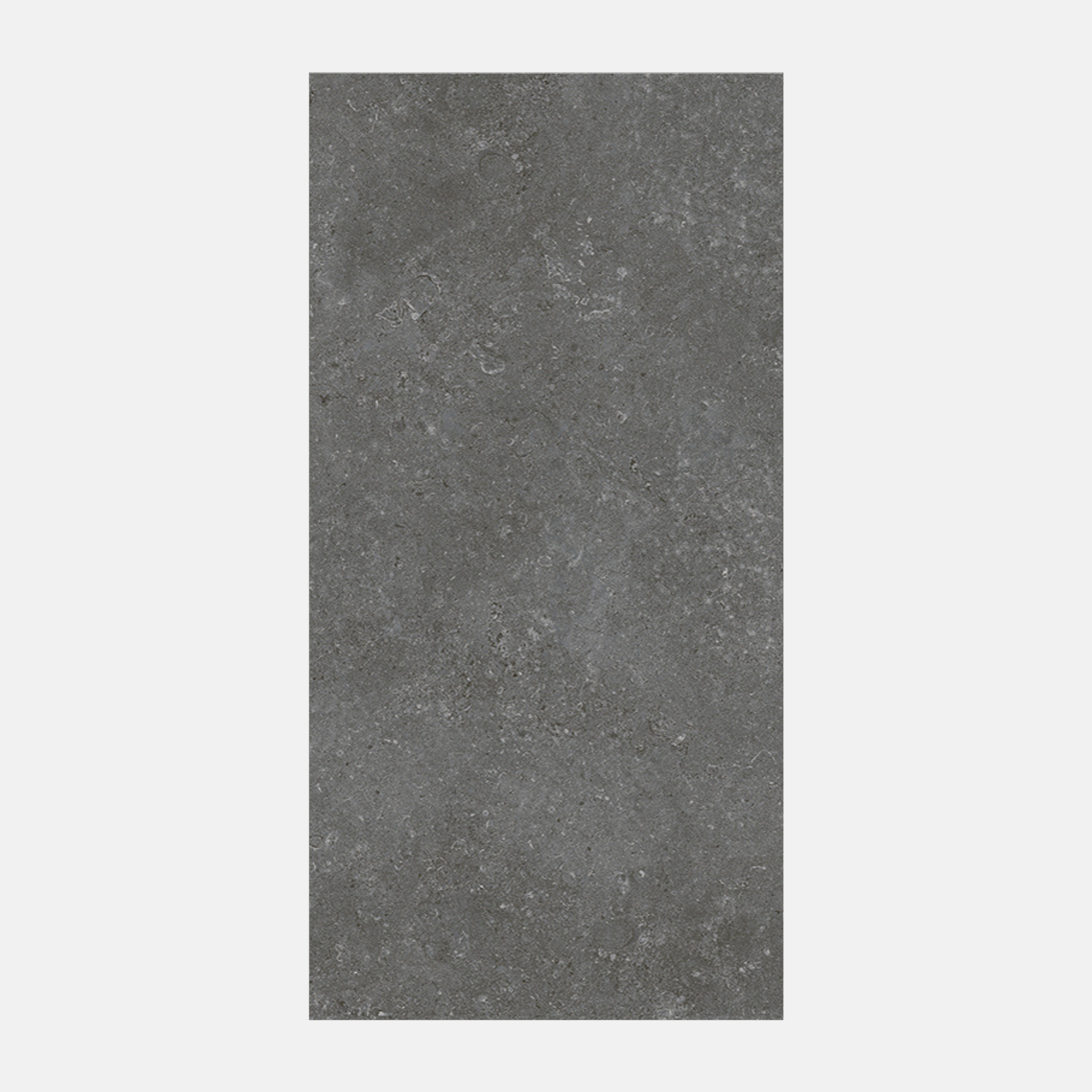 Avila Matte Charcoal Stone-Look Tile 300X600