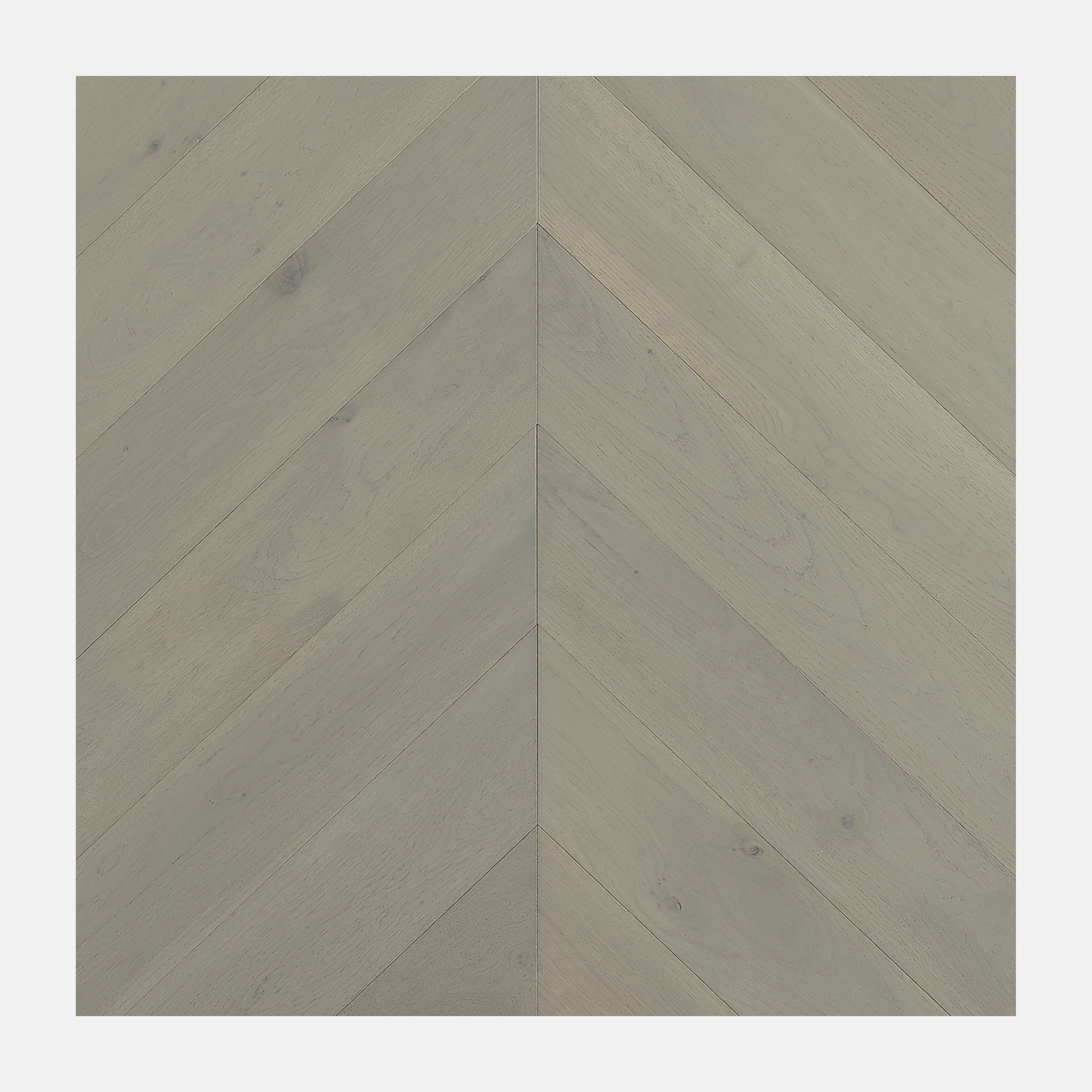 Ivory Steed Chevron European Oak Engineered Flooring Limed Ash