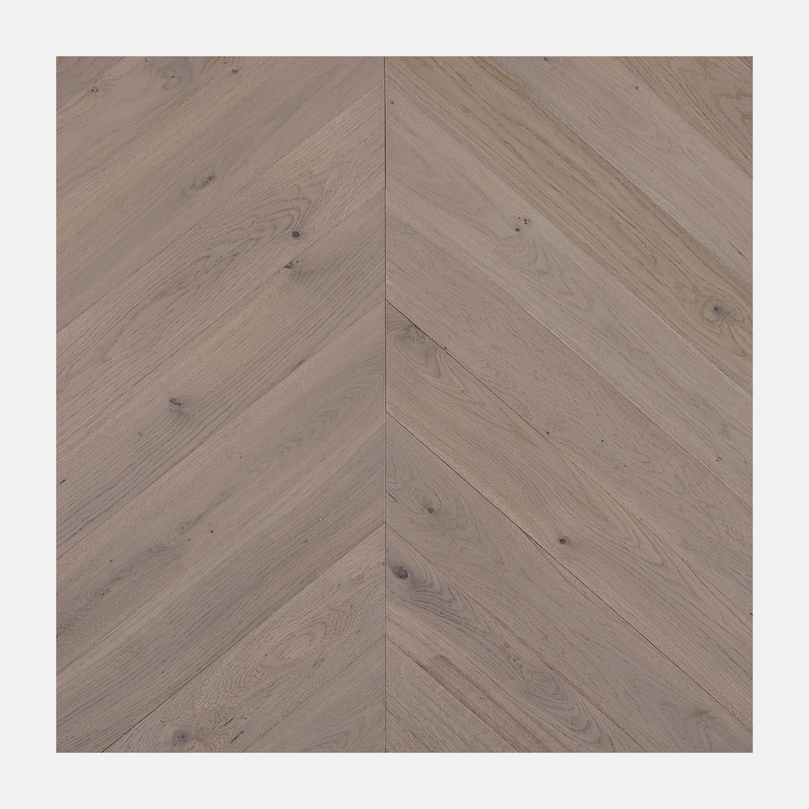 Ivory Steed Chevron European Oak Engineered Flooring Soft Pale Oak