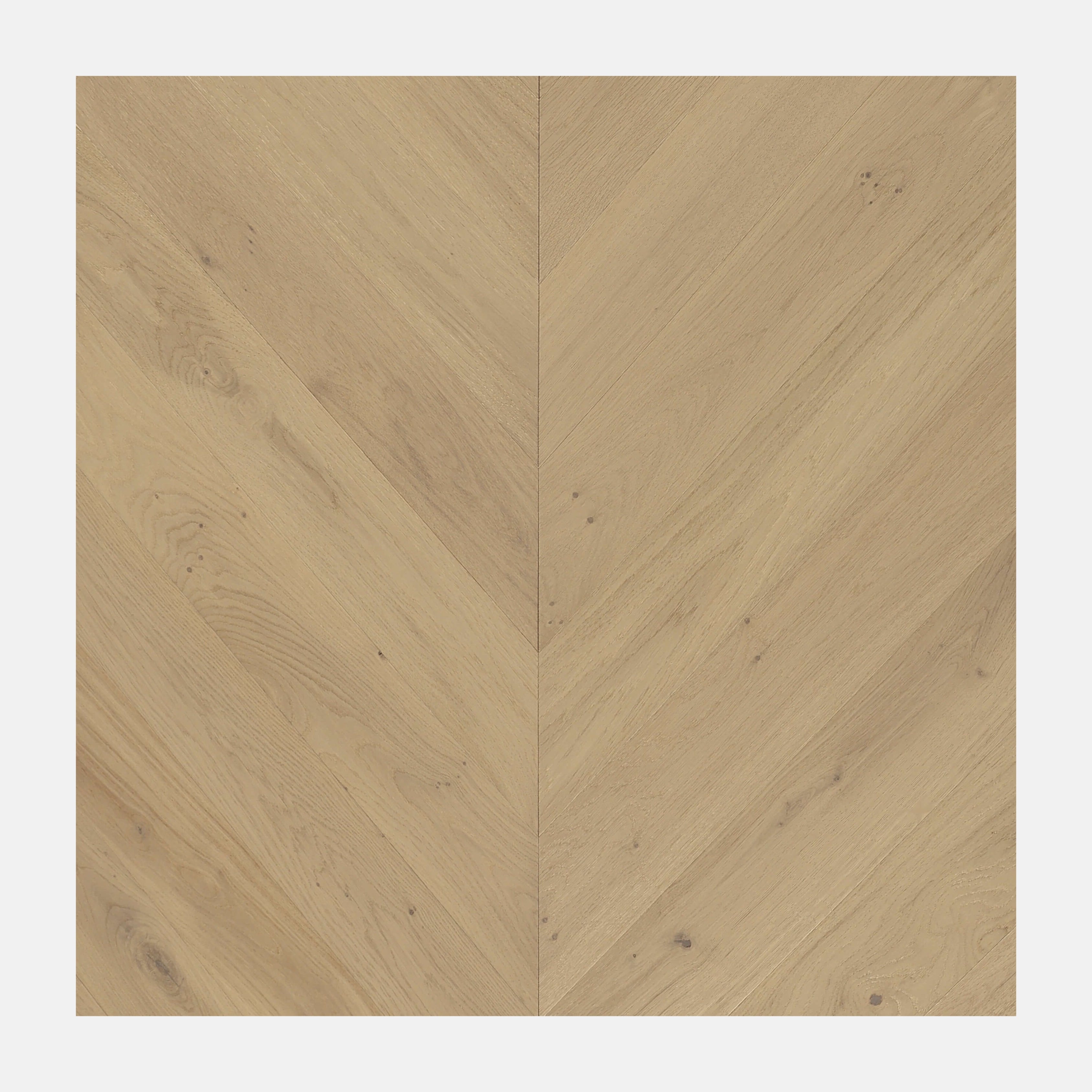 Ivory Steed Chevron European Oak Engineered Flooring Champagne