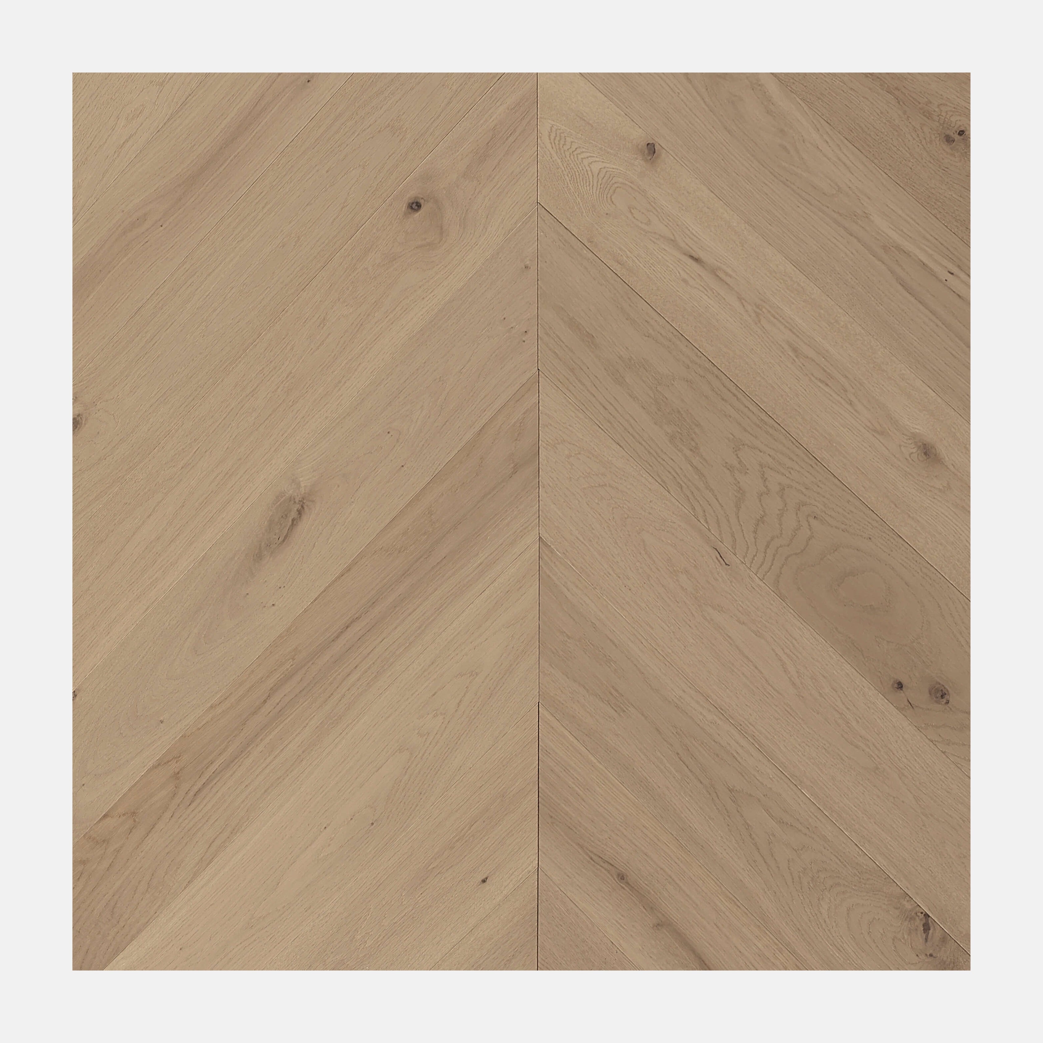 Ivory Steed Chevron European Oak Engineered Flooring British Oak Natural