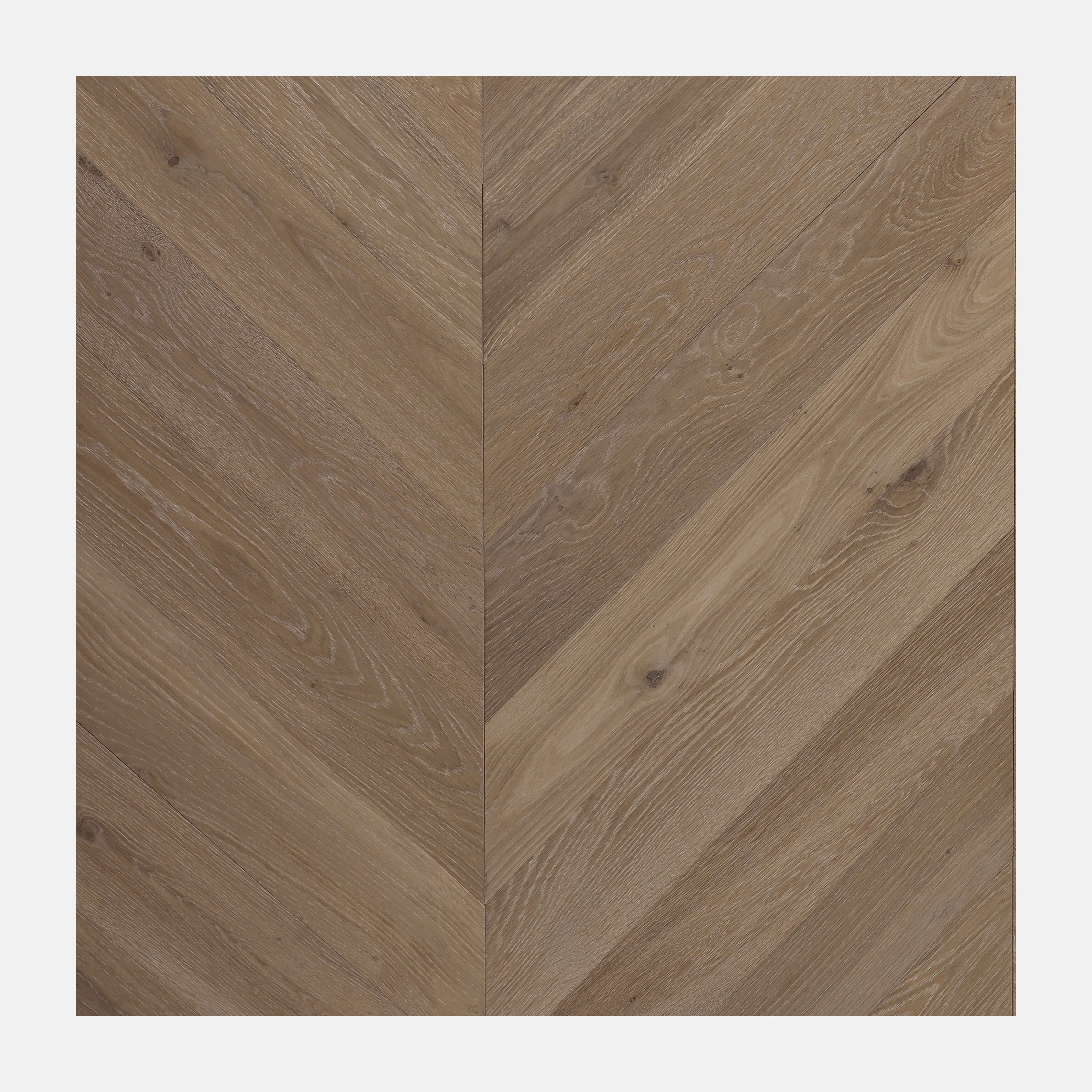 Ivory Steed Chevron European Oak Engineered Flooring Monica Grey