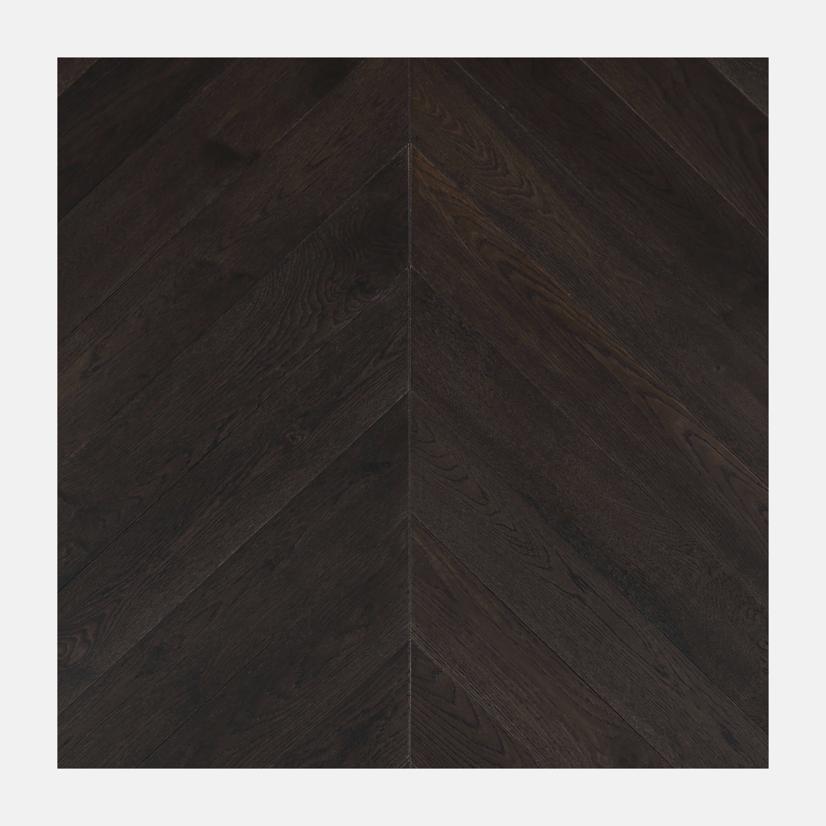 Ivory Steed Chevron European Oak Engineered Flooring Camden Oak