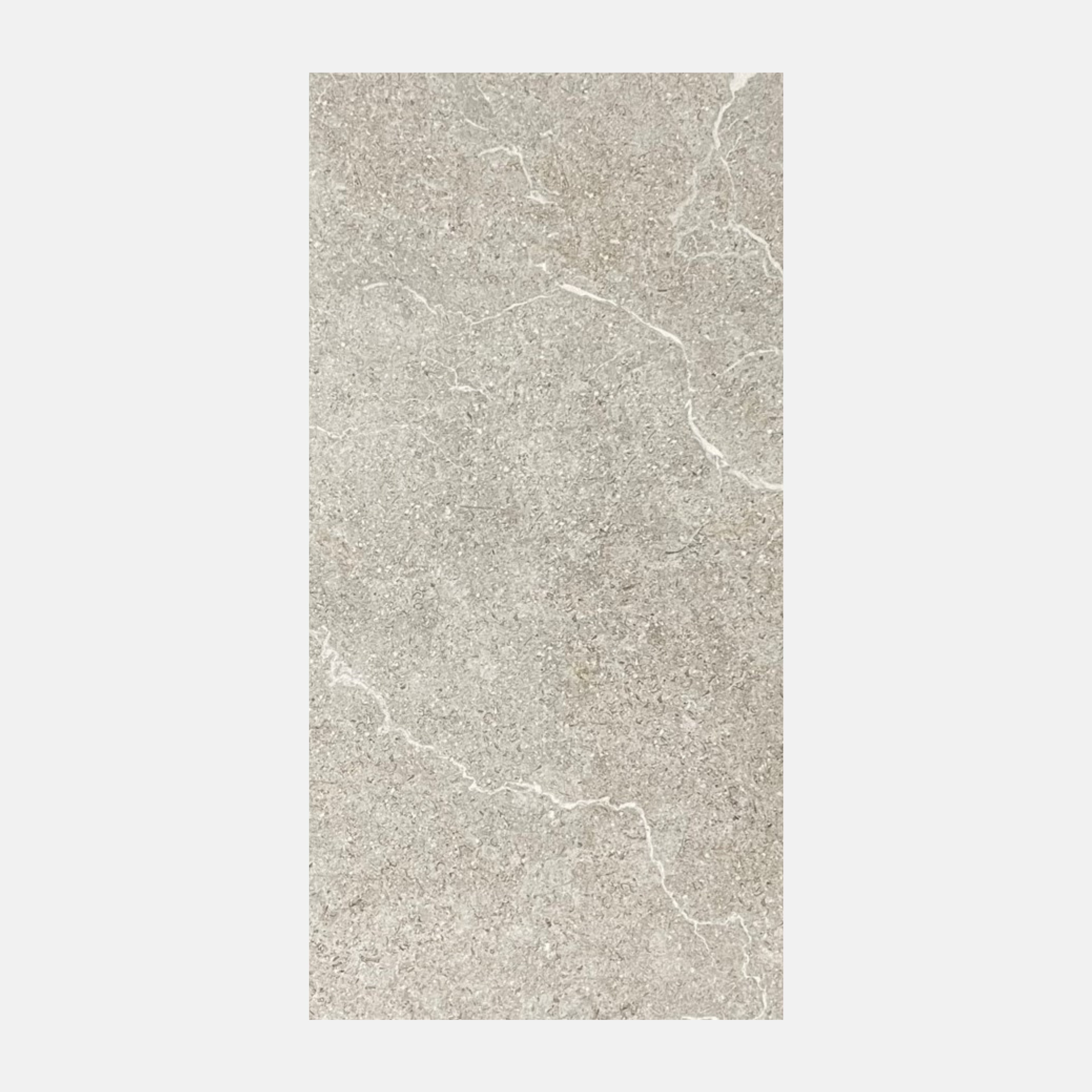 Marmol Matte Grey 610X1222