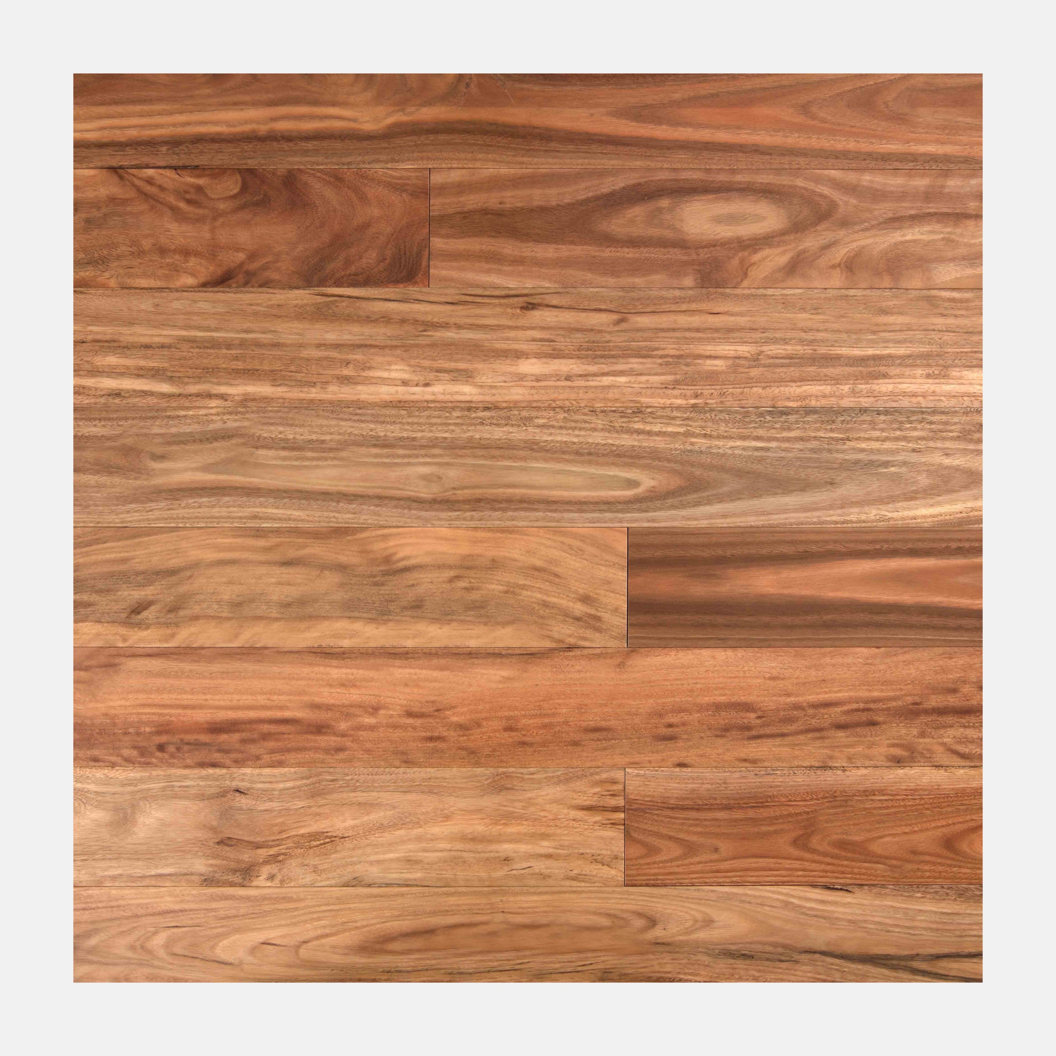 Timber Land Engineered Flooring Pacific Spotted Gum