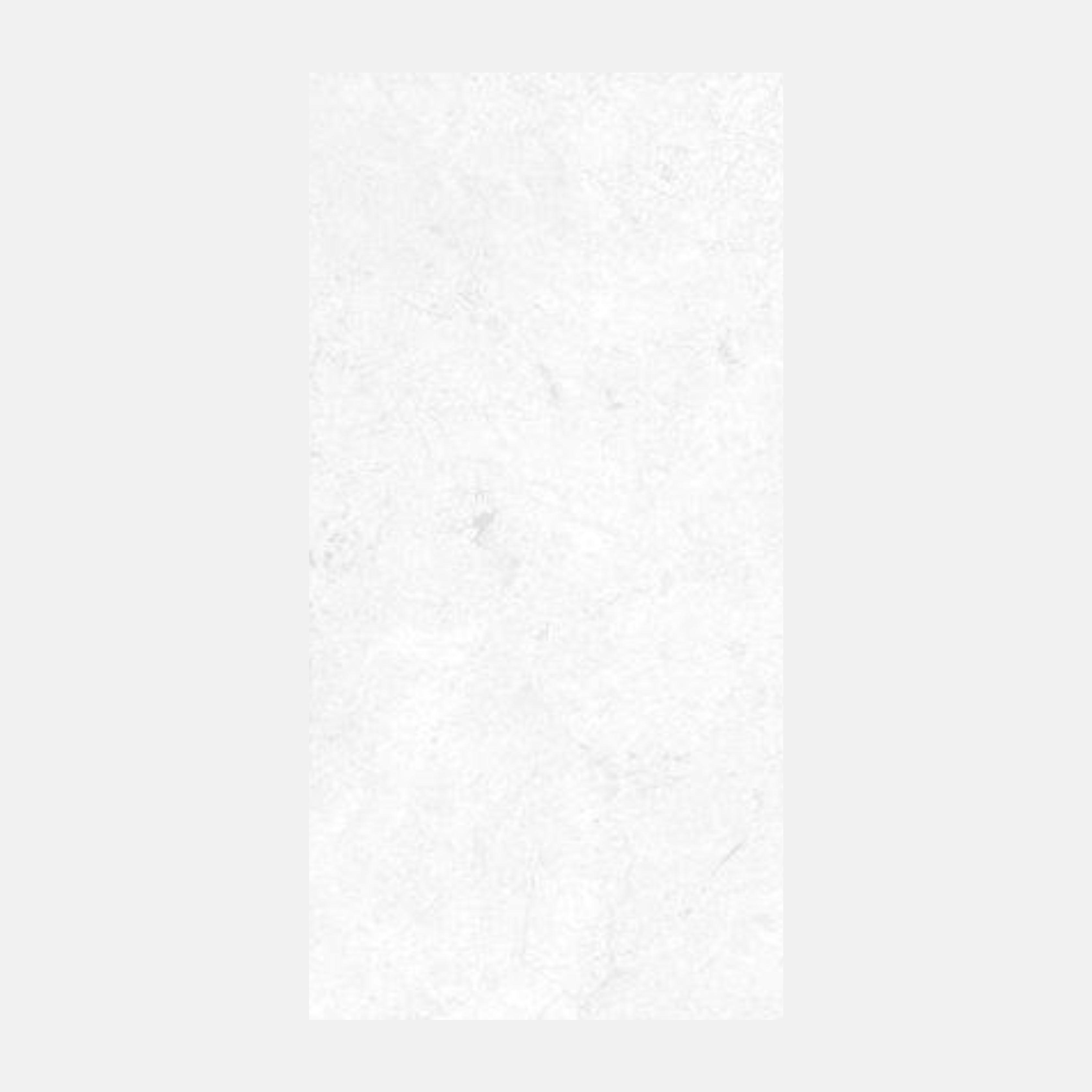 Delfino Lappato White 300X600