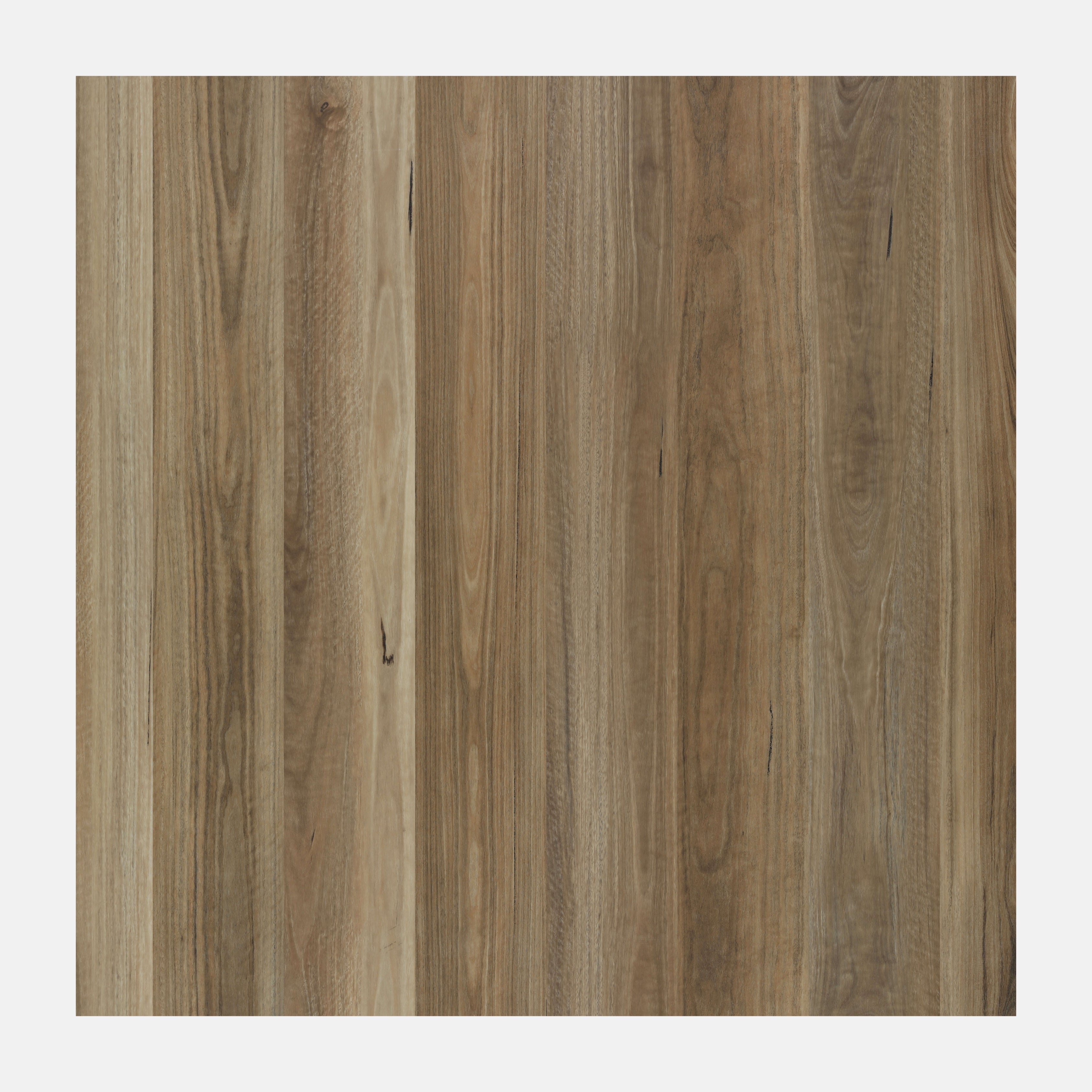 Illumination Hybrid Floor (Spotted Gum)