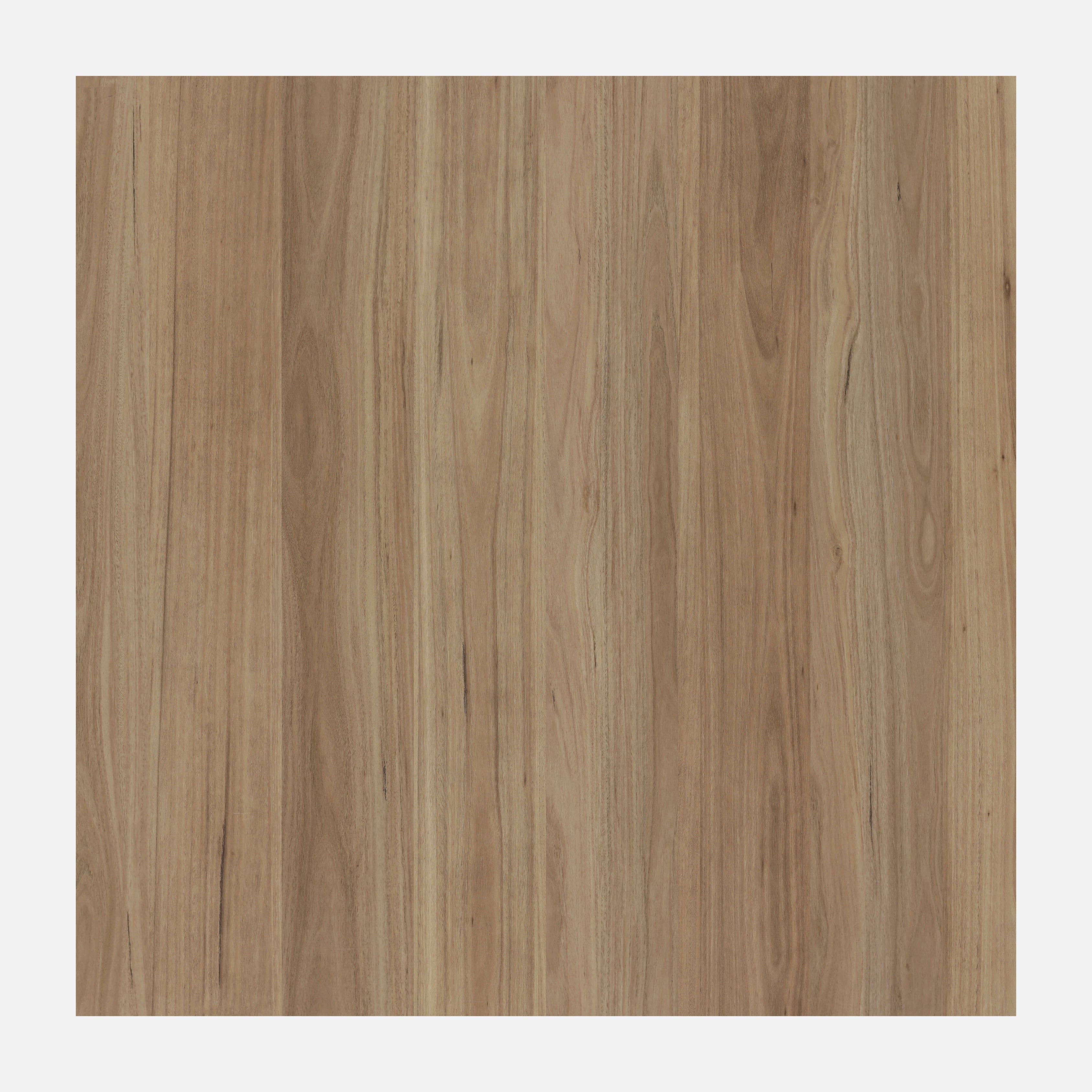 Illumination Hybrid Floor (Blackbutt)