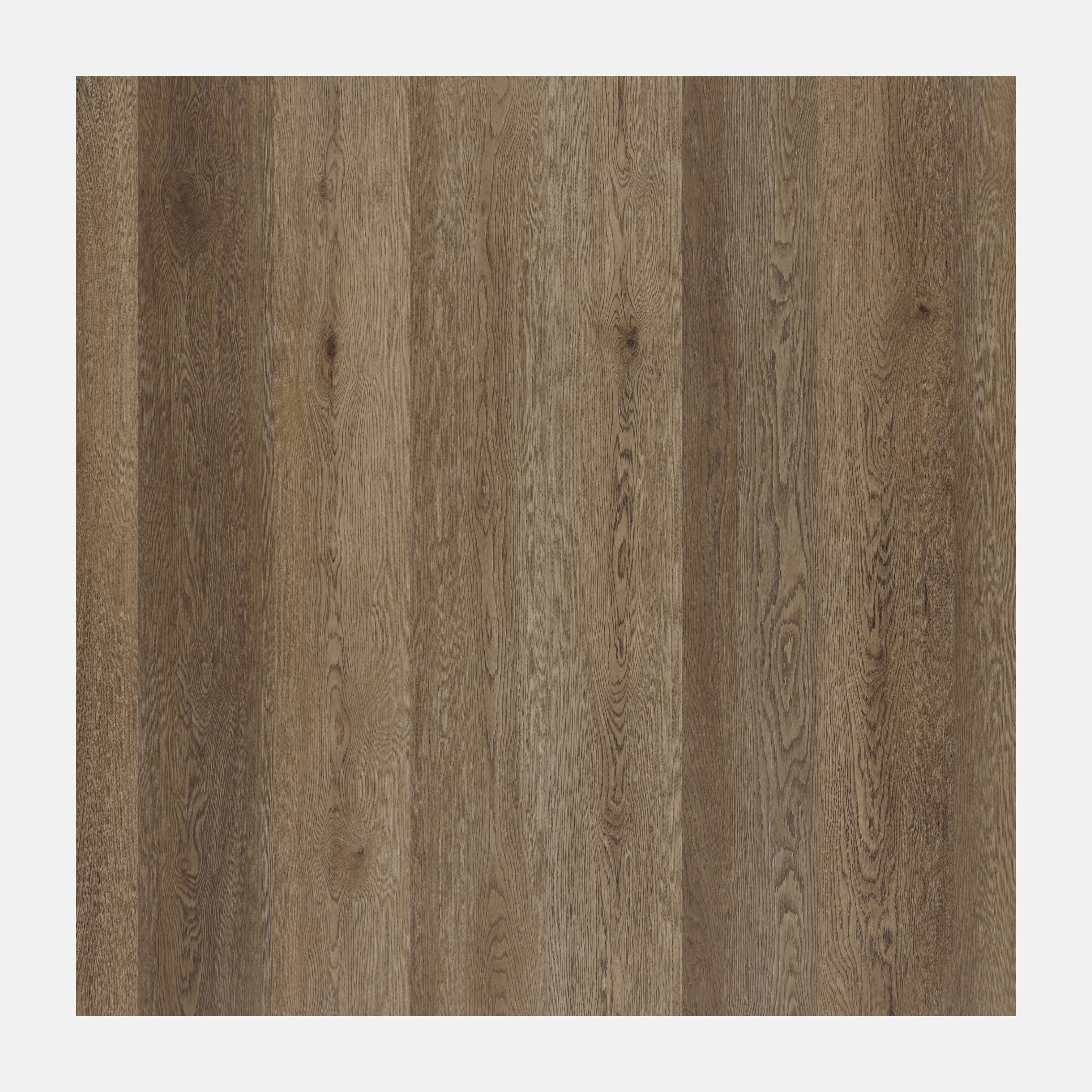 Illumination Hybrid Floor (Spotted Gum)