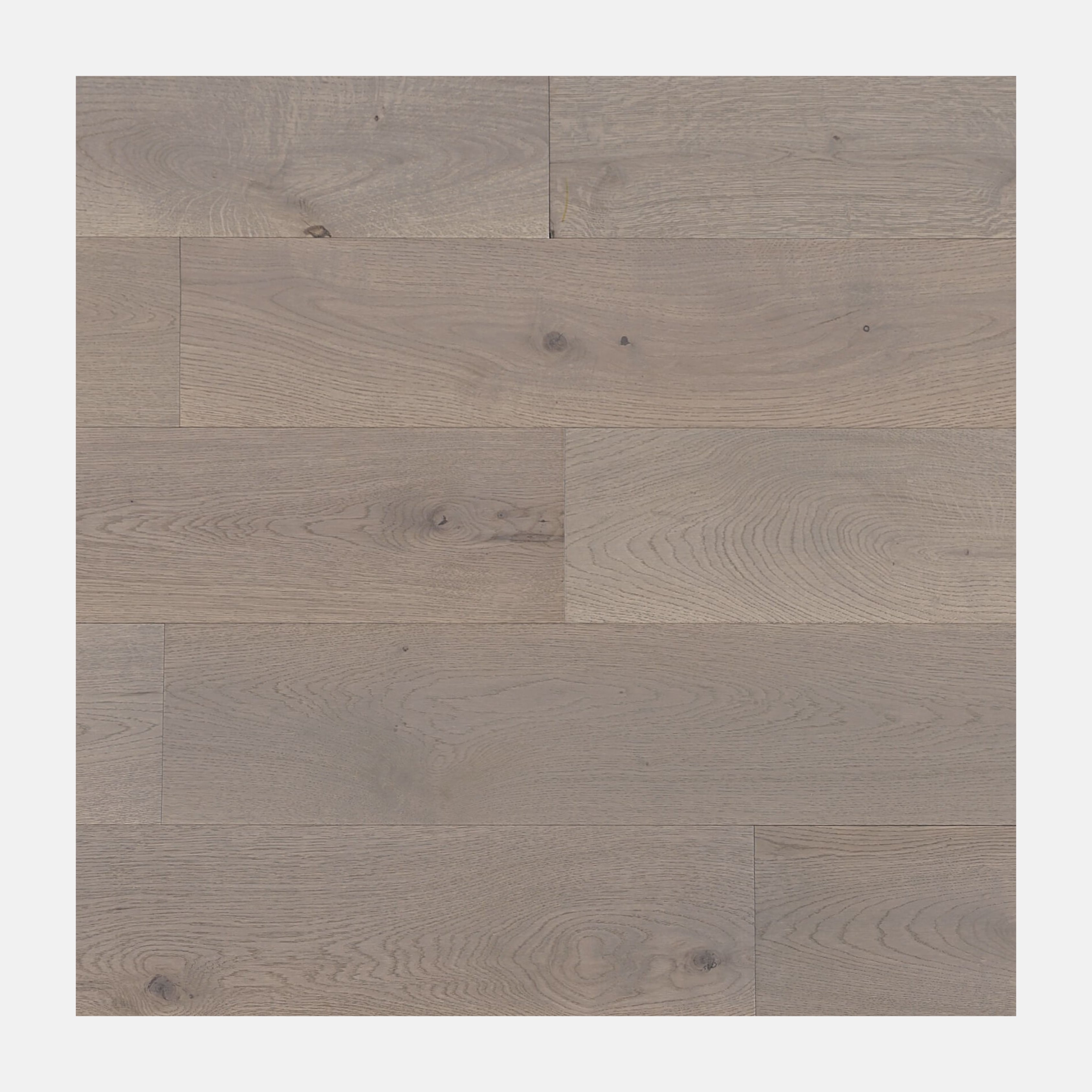 Monarch European Oak Engineered Flooring (Champagne)