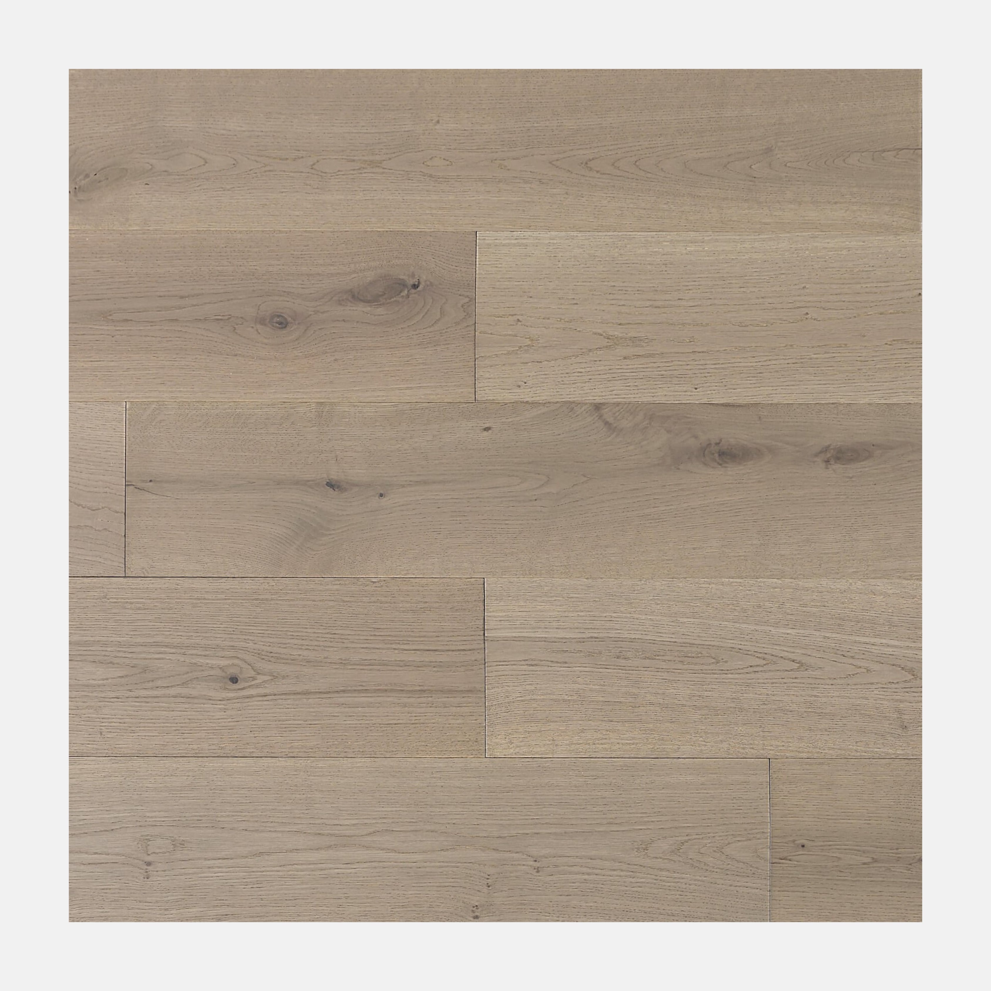 Monarch European Oak Engineered Flooring (Champagne)