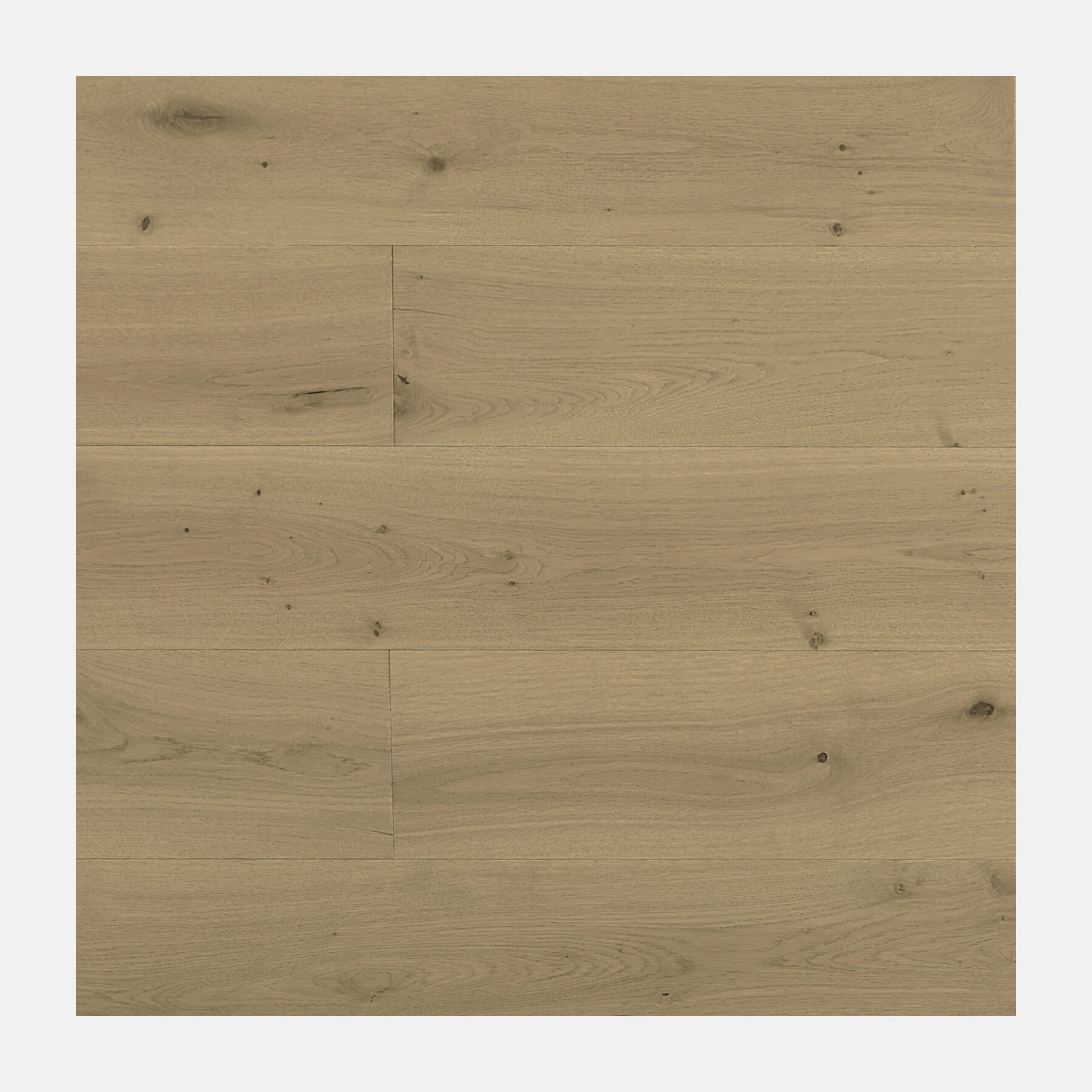 Monarch European Oak Engineered Flooring (Champagne)