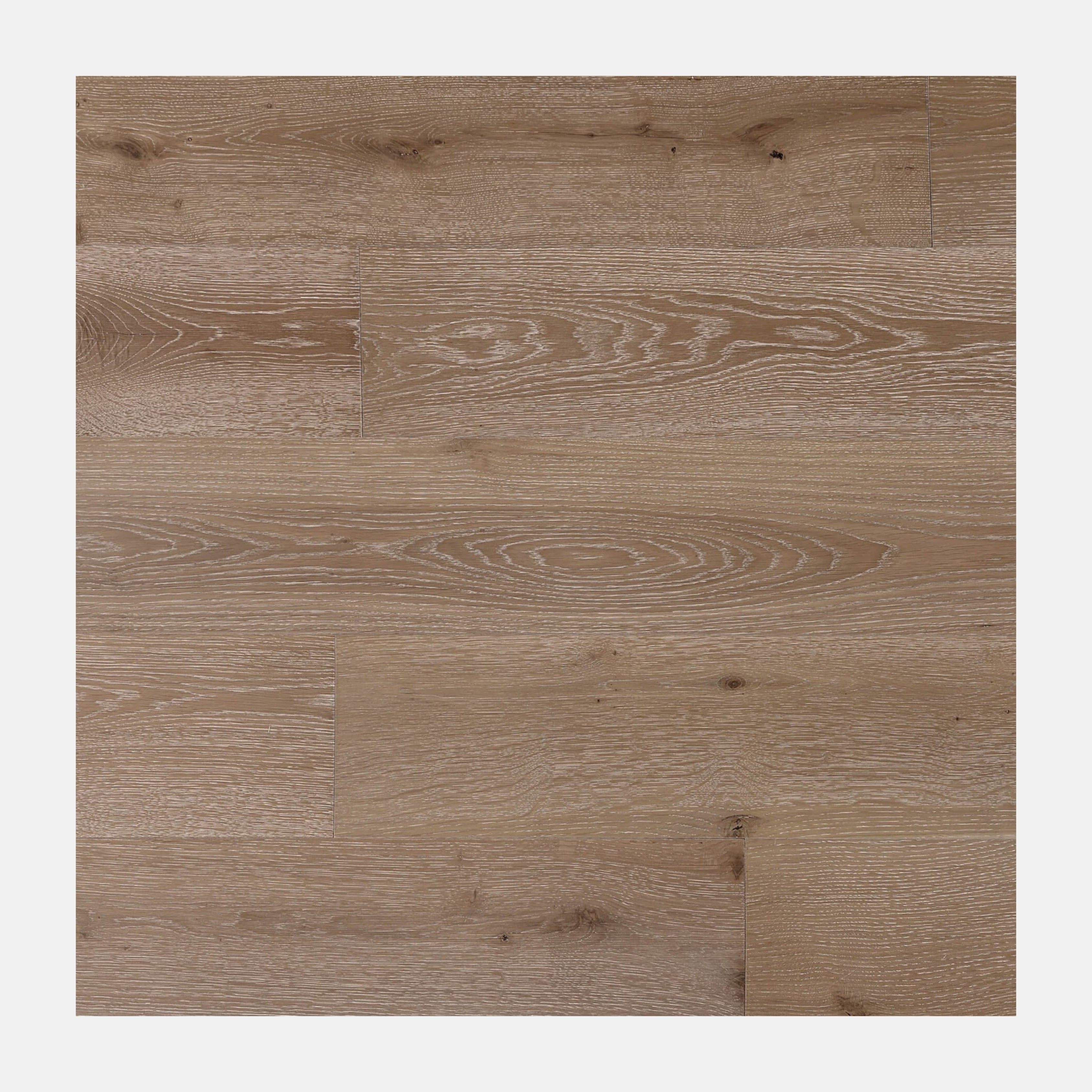 Monarch European Oak Engineered Flooring (Champagne)