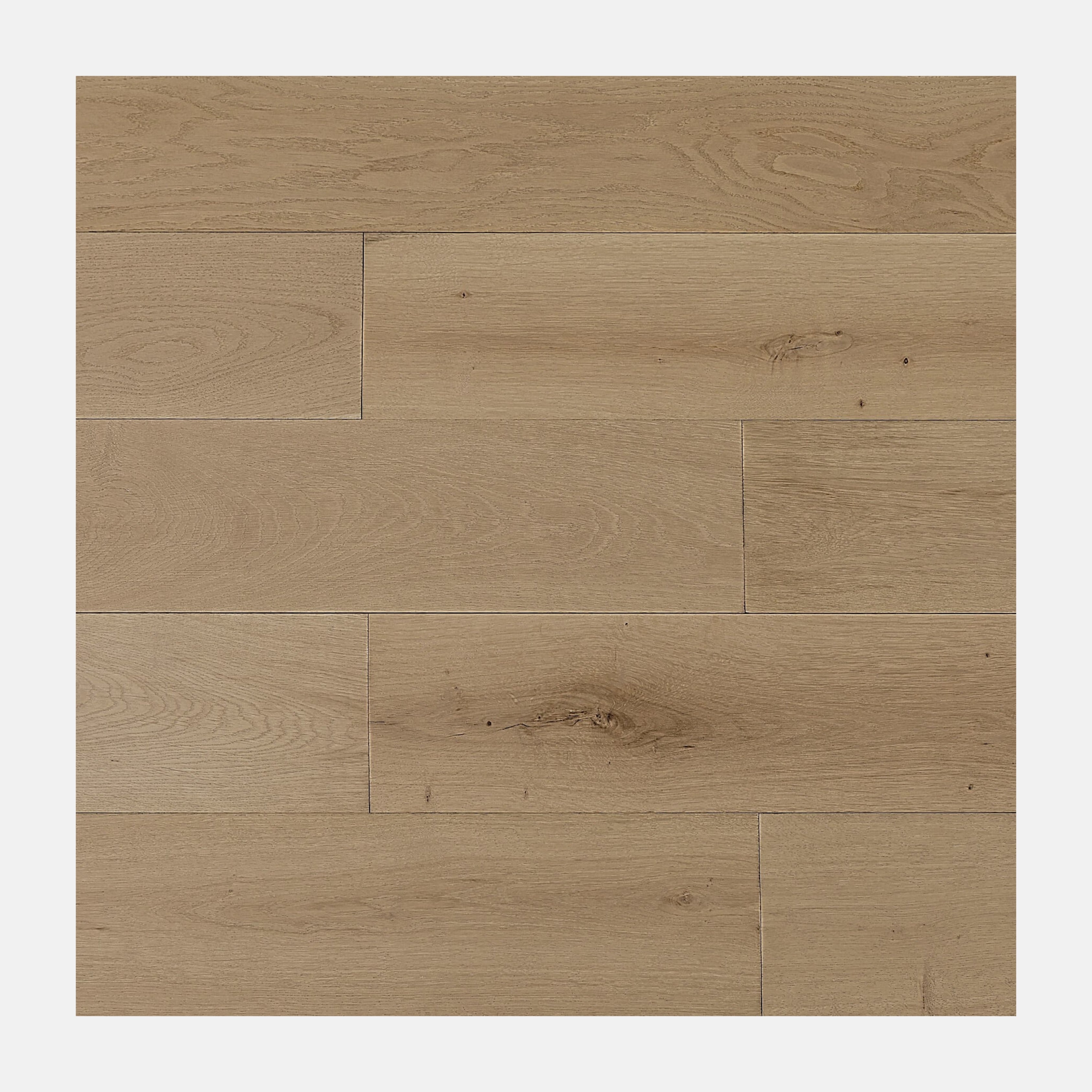 Monarch European Oak Engineered Flooring (Champagne)