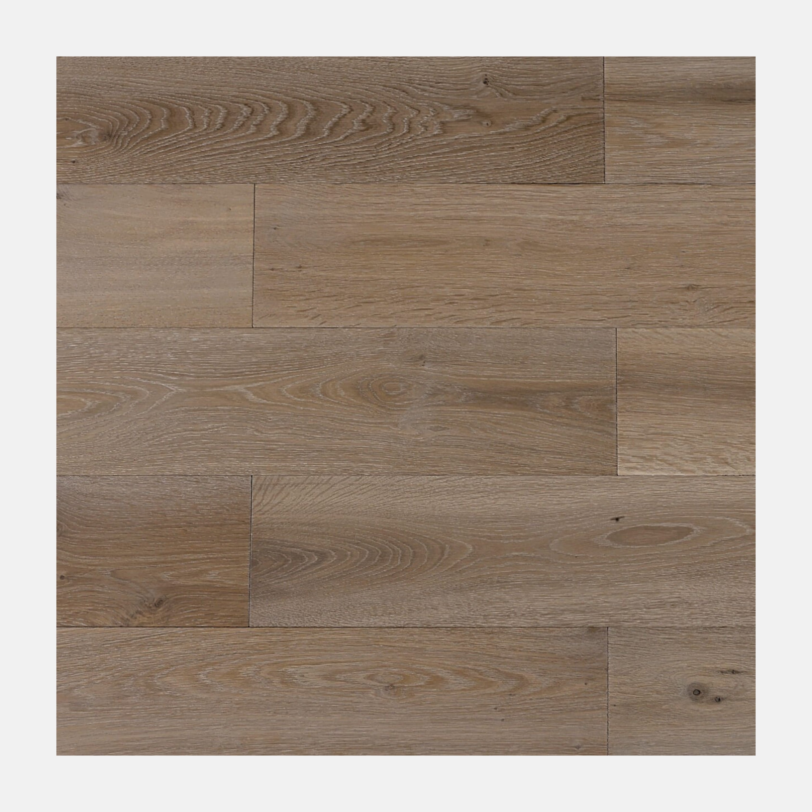 Monarch European Oak Engineered Flooring (Champagne)