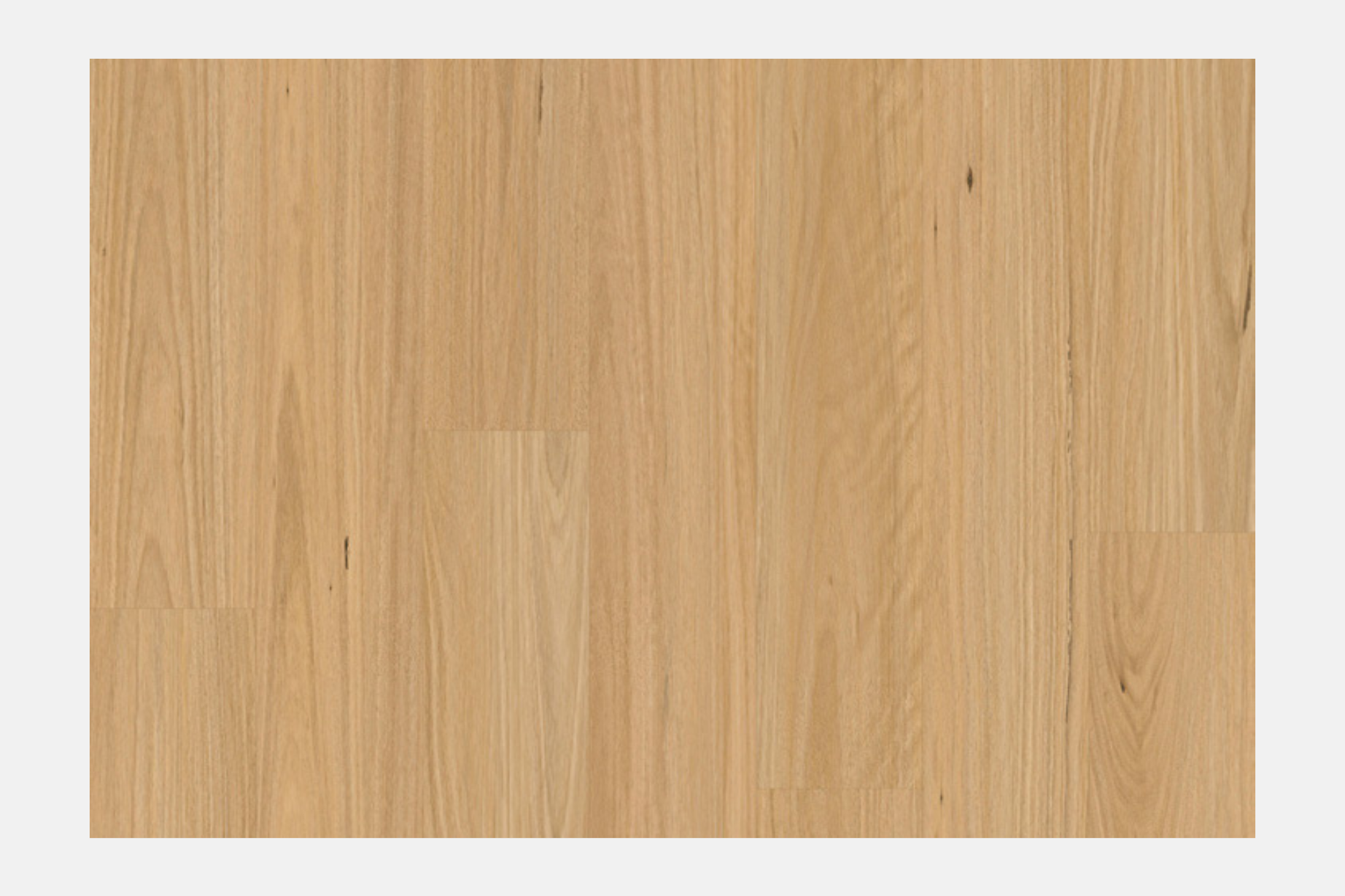 Amor Laminate Flooring Blackbutt