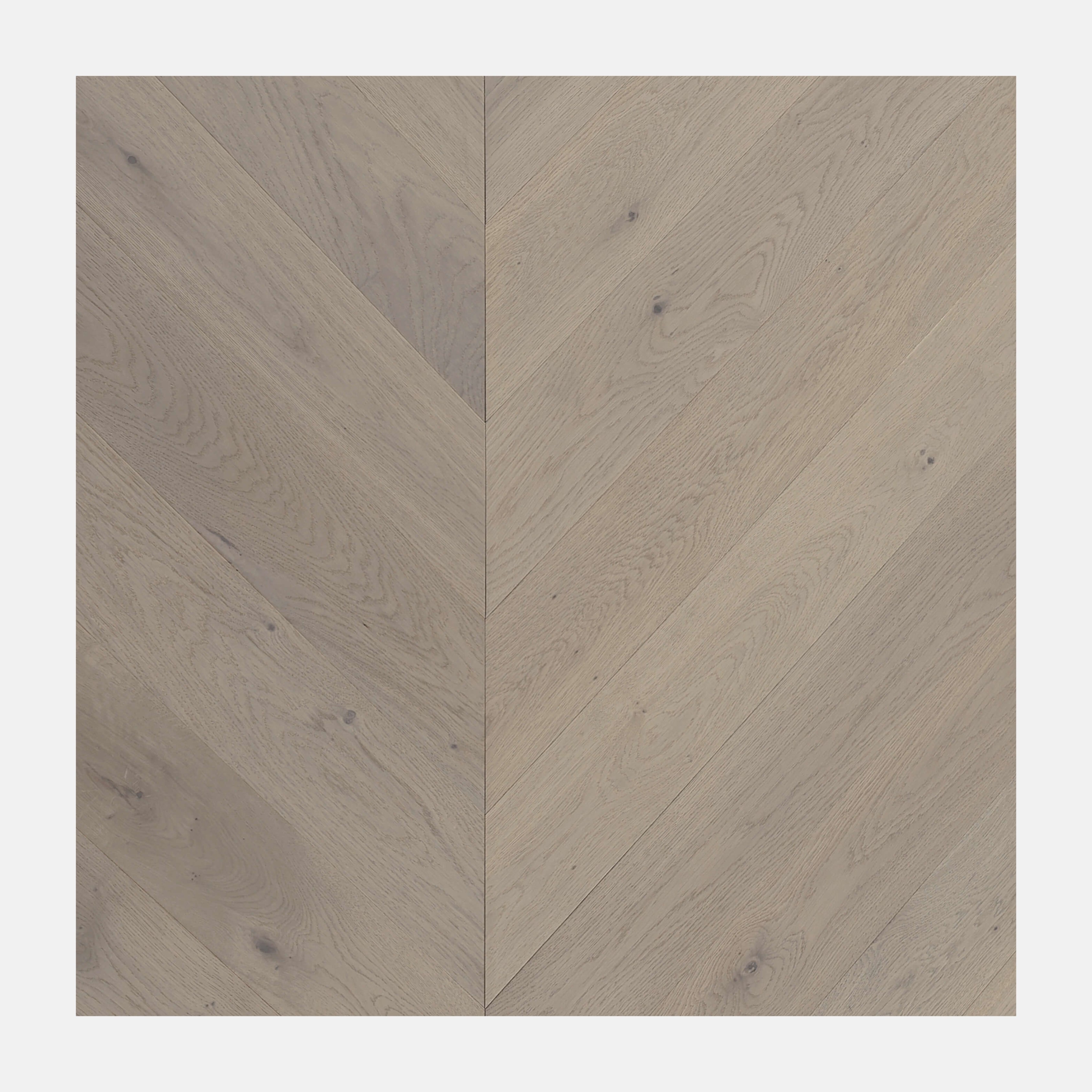 Ivory Steed Chevron European Oak Engineered Flooring (Cromer Oak)