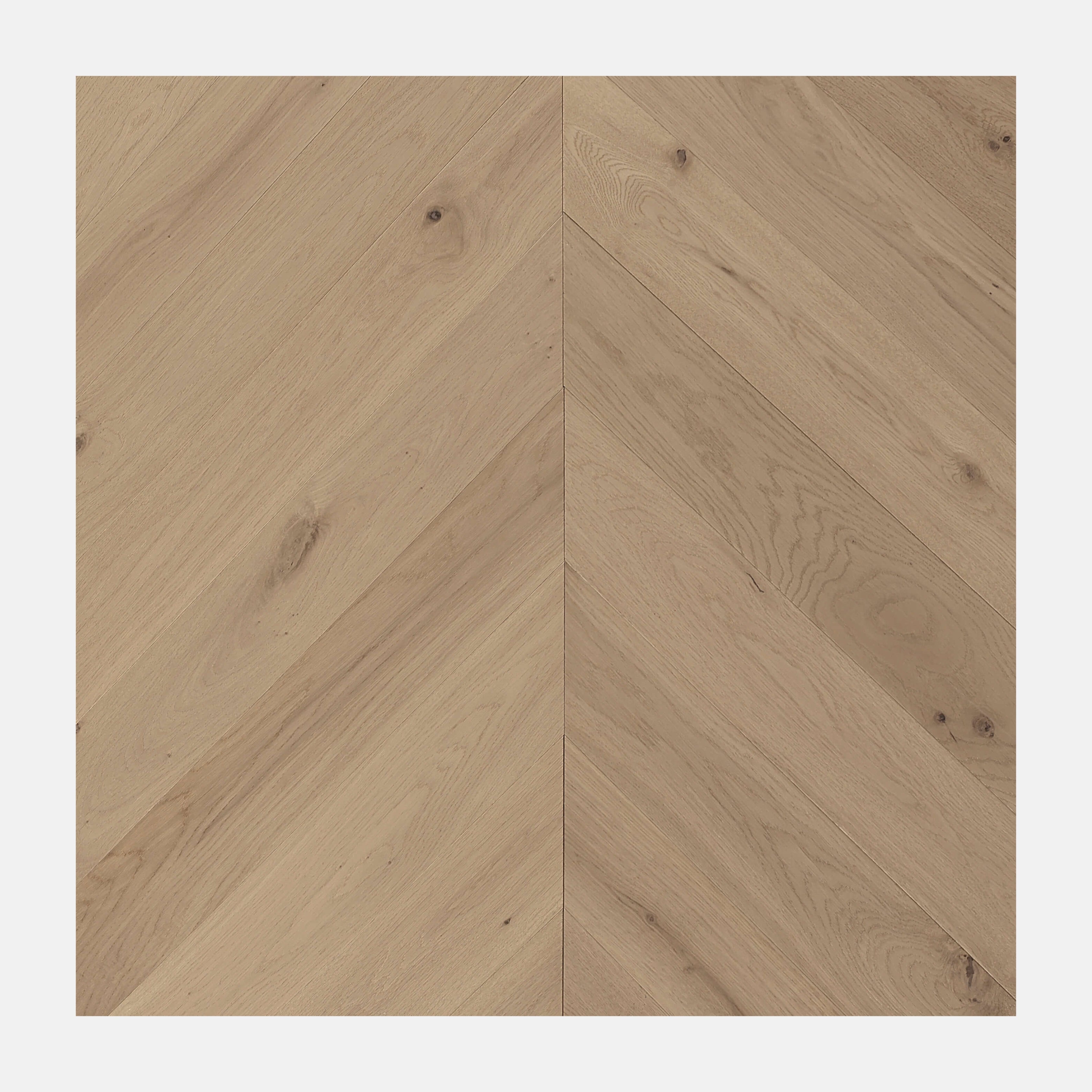 Ivory Steed Chevron European Oak Engineered Flooring (Cromer Oak)