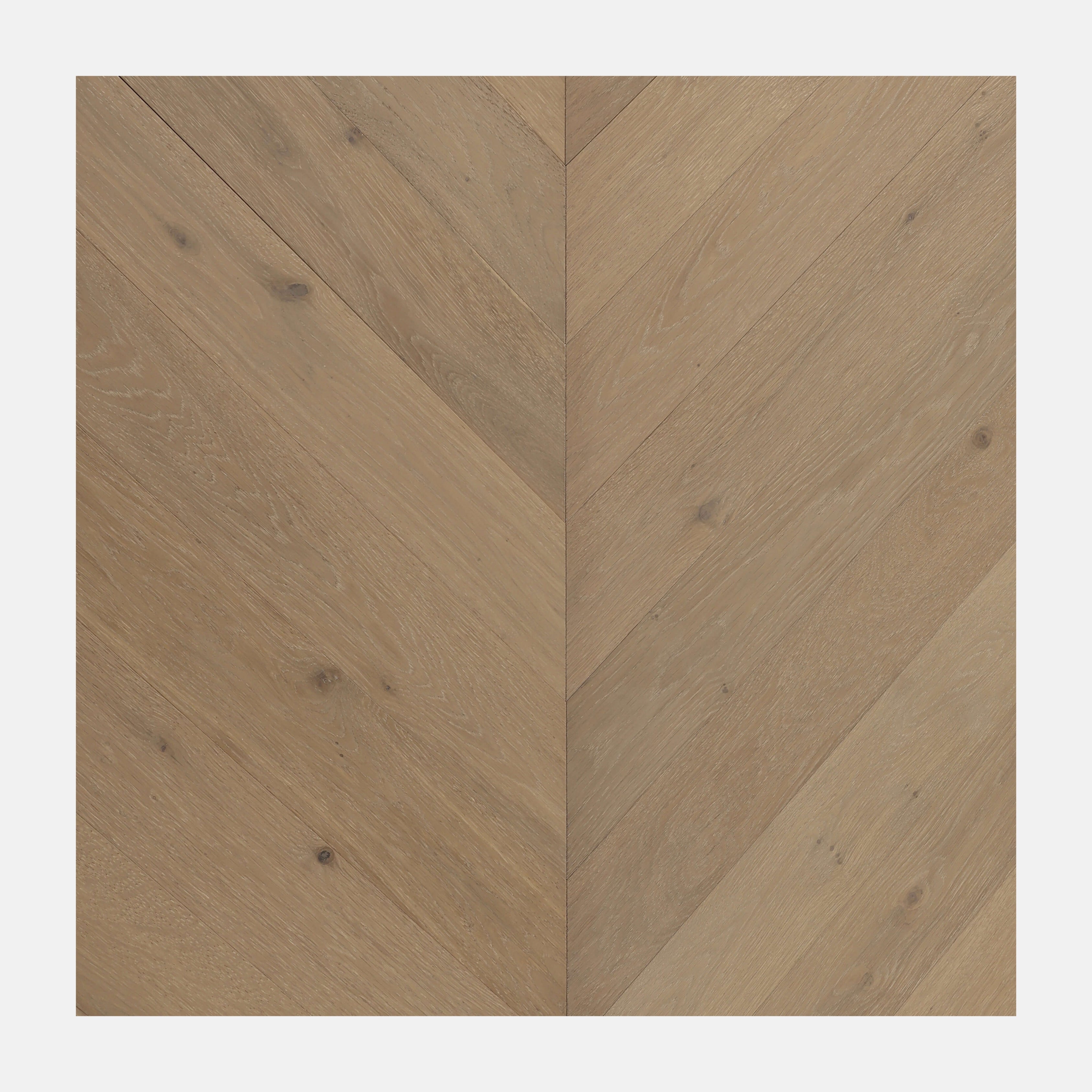 Ivory Steed Chevron European Oak Engineered Flooring (Cromer Oak)