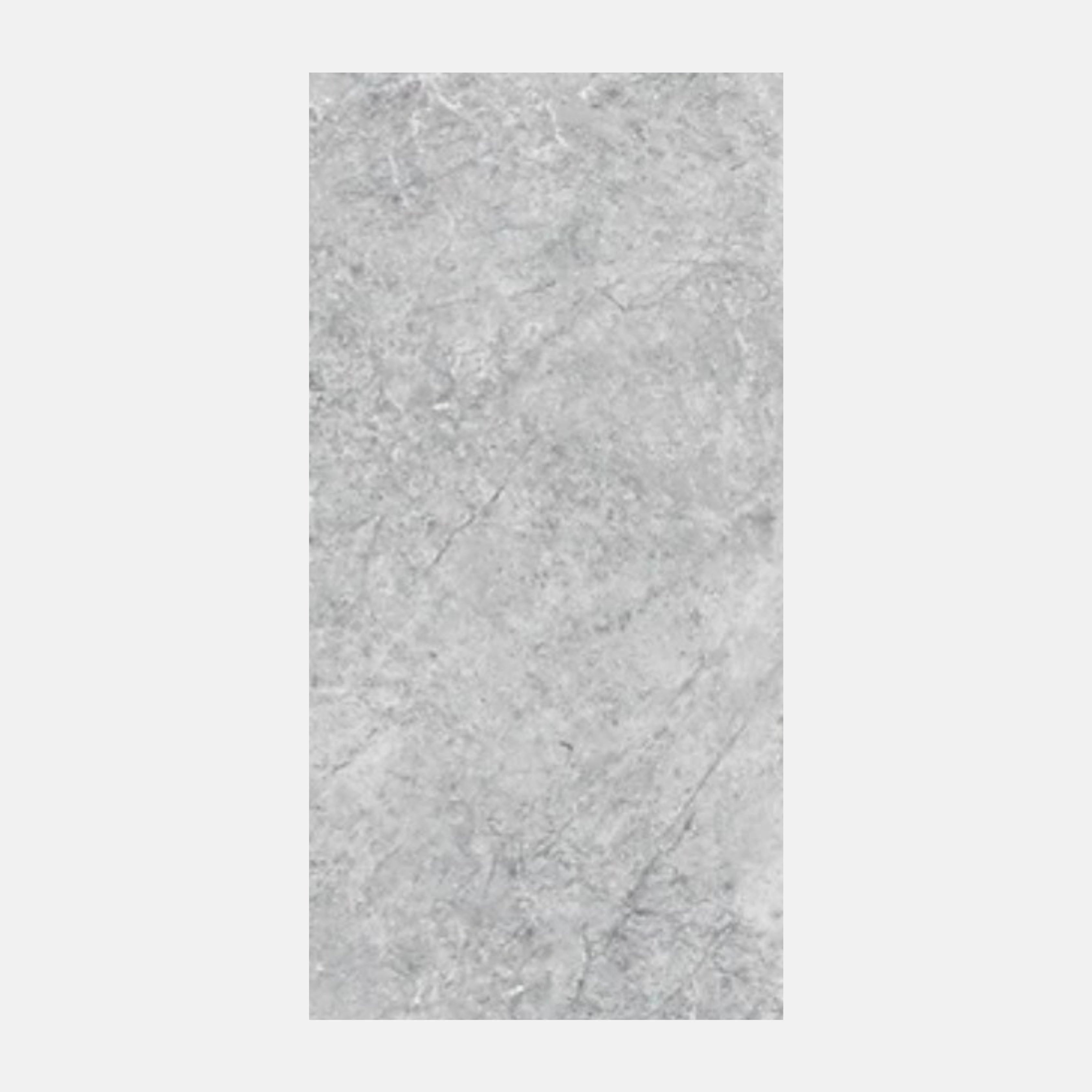 Atlas Silver Paver 400x600x20