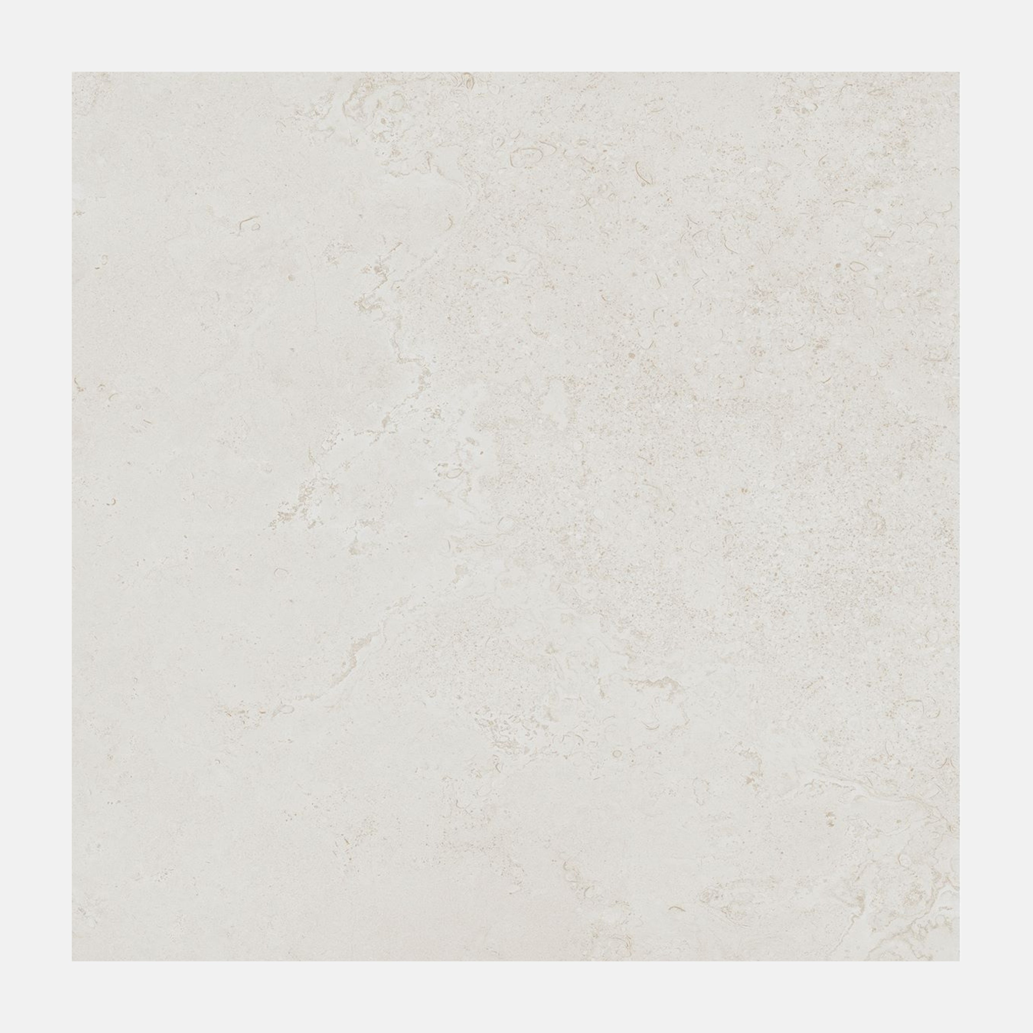 Lido Matte Greige 300x600