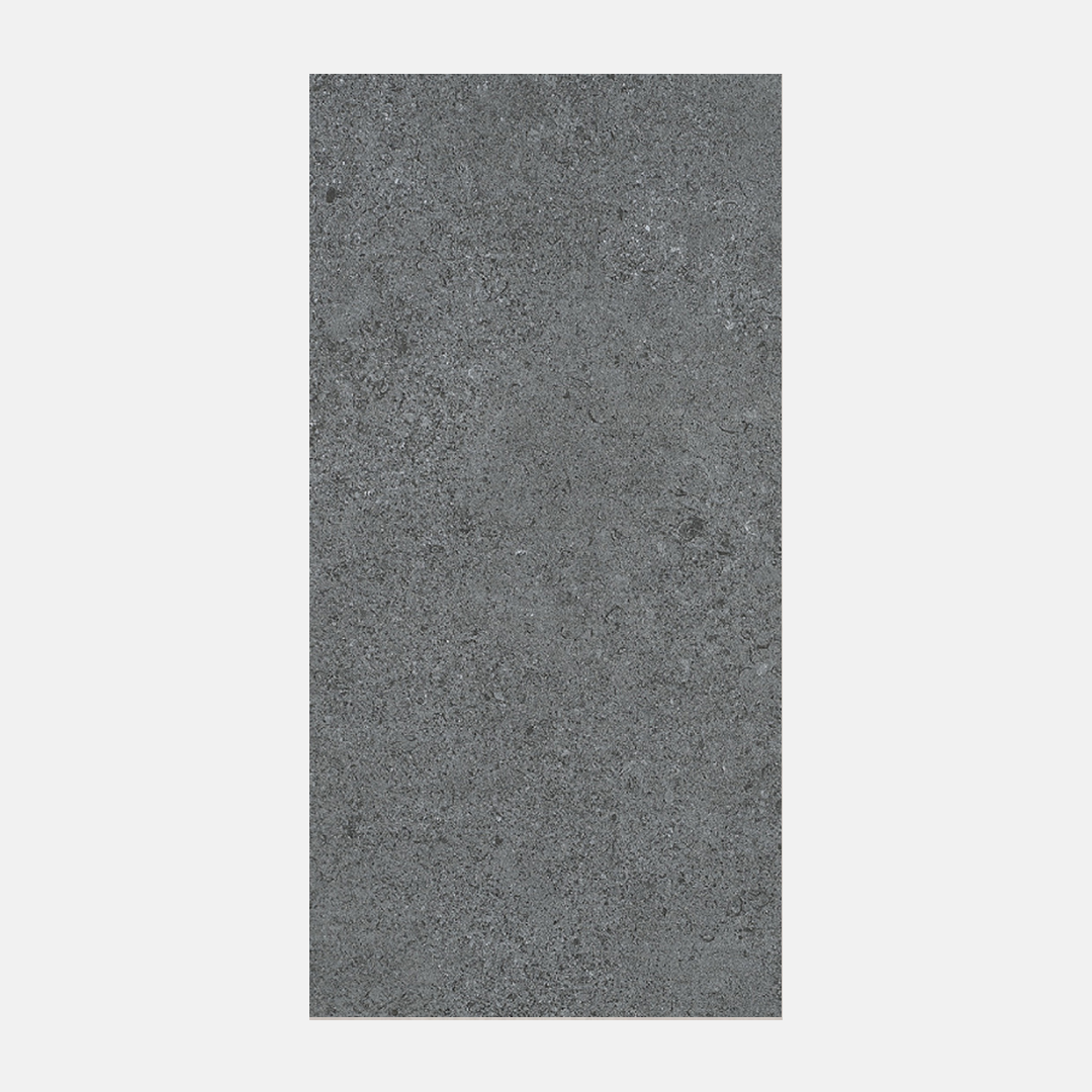 Lerici Silver External Tile 600x600