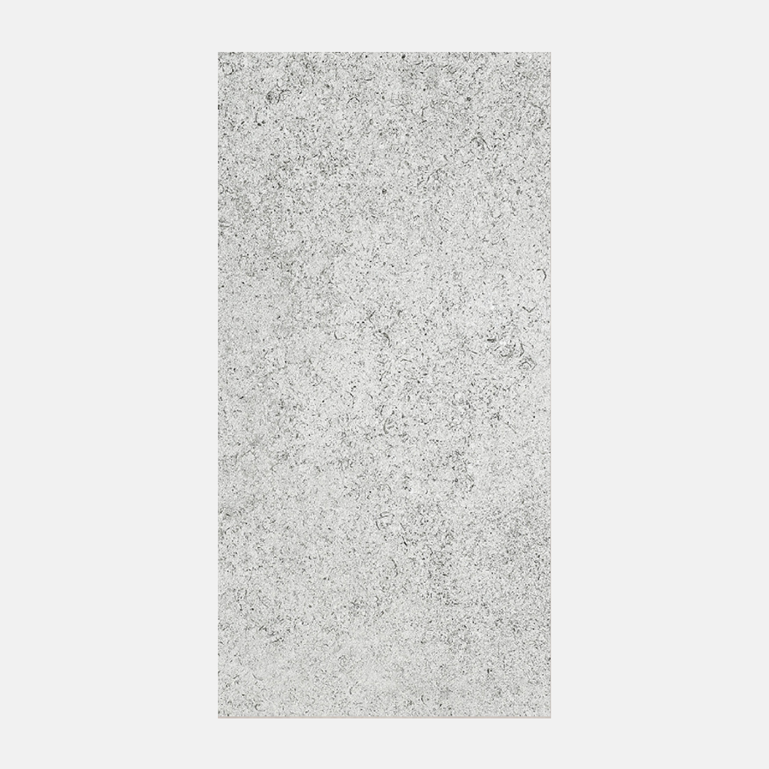 Lerici Silver External Tile 300x600