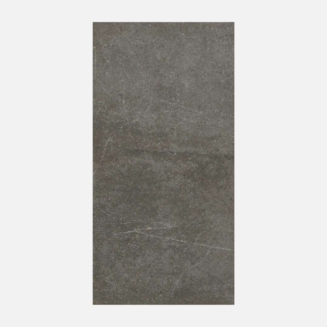 Tarazona Matte Charcoal Stone-Look Tile 300x600