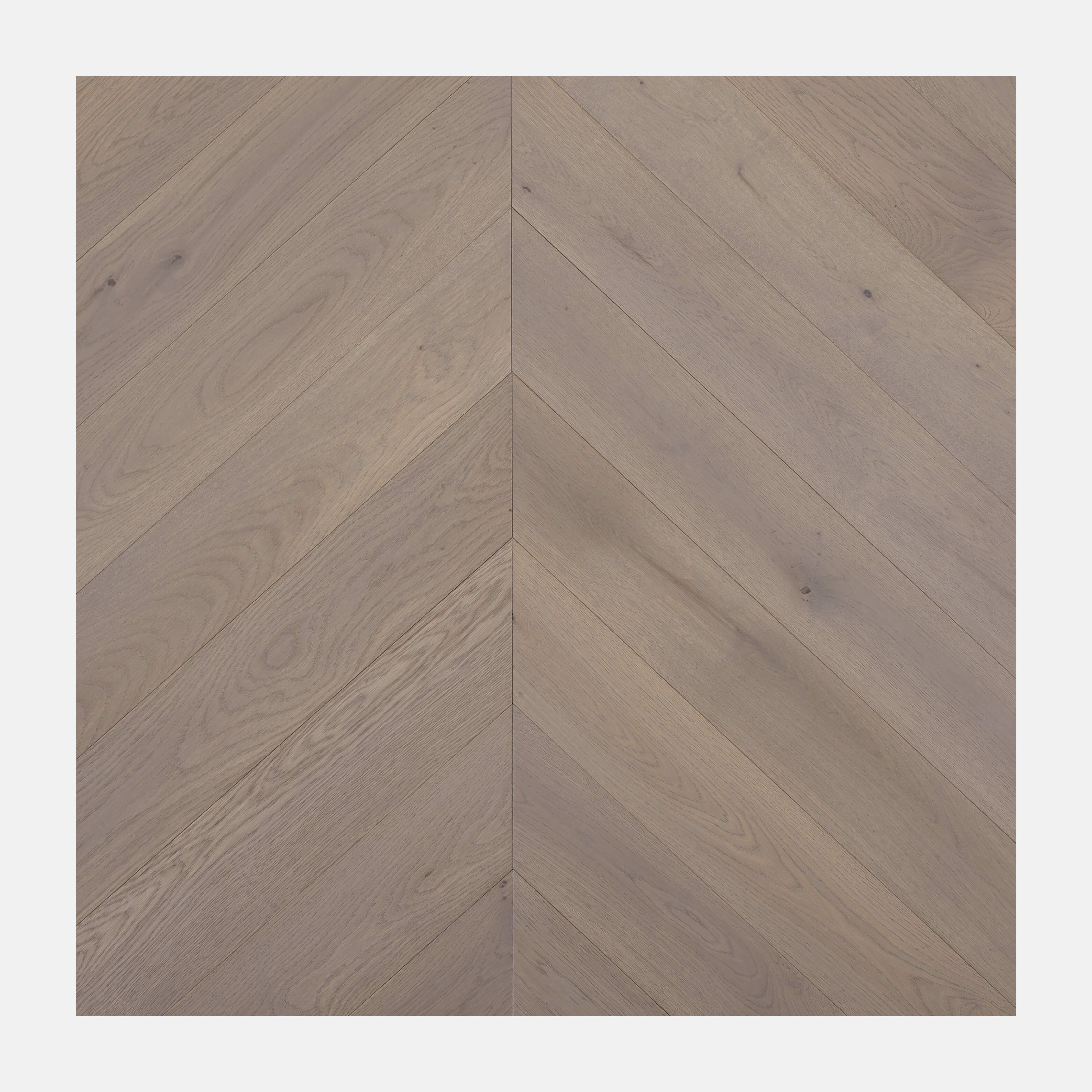 Ivory Steed Chevron European Oak Engineered Flooring (Amaretti Oak)