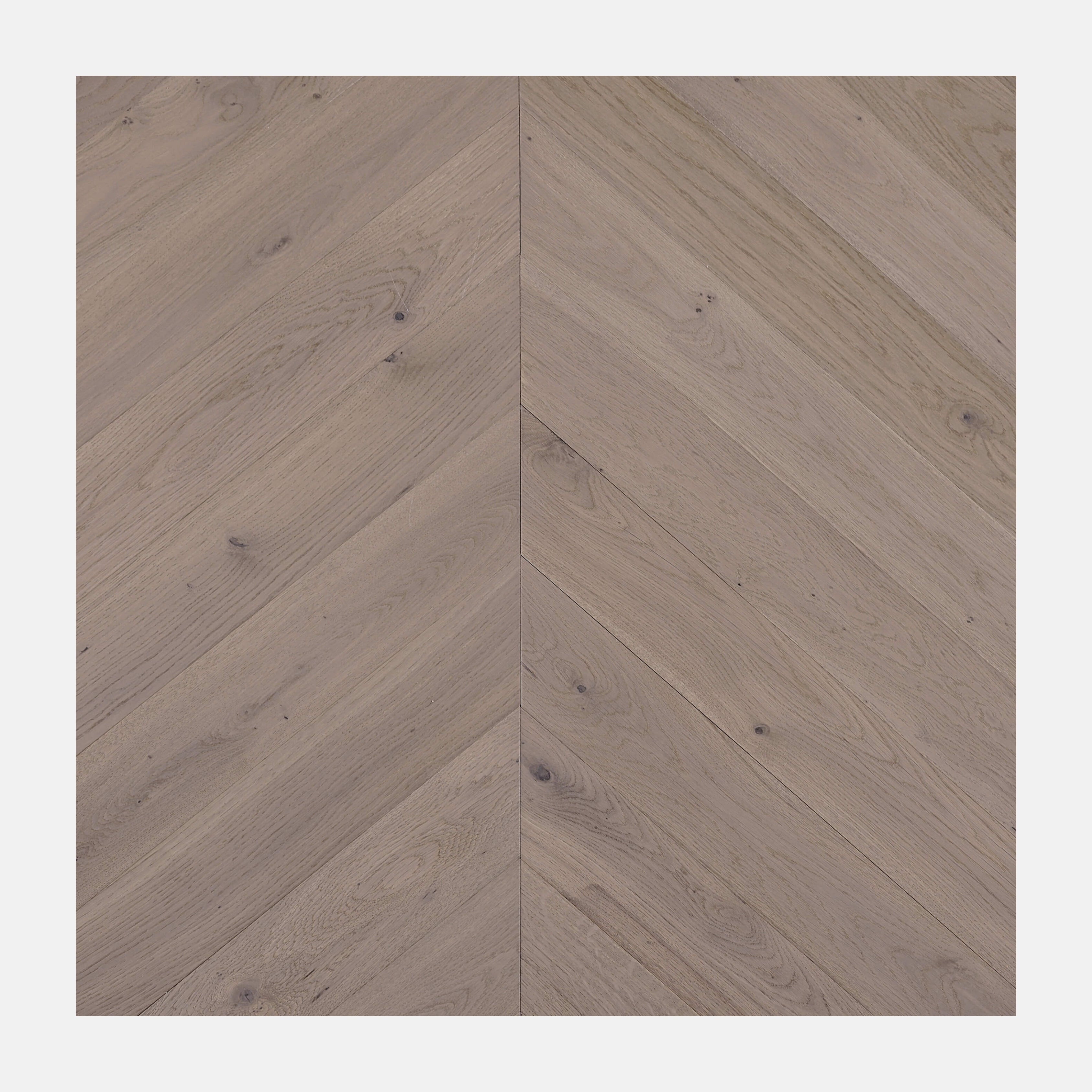 Ivory Steed Chevron European Oak Engineered Flooring (Cromer Oak)