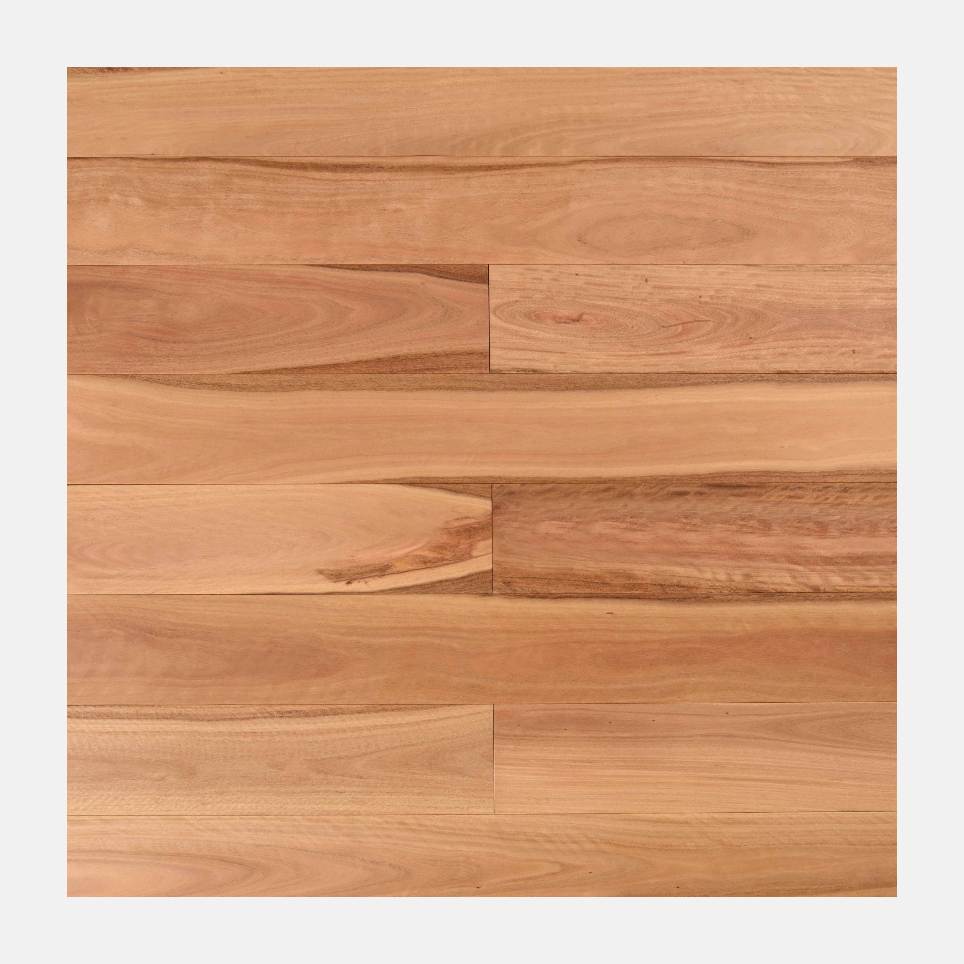 Pacific Blackbutt Solid Timber